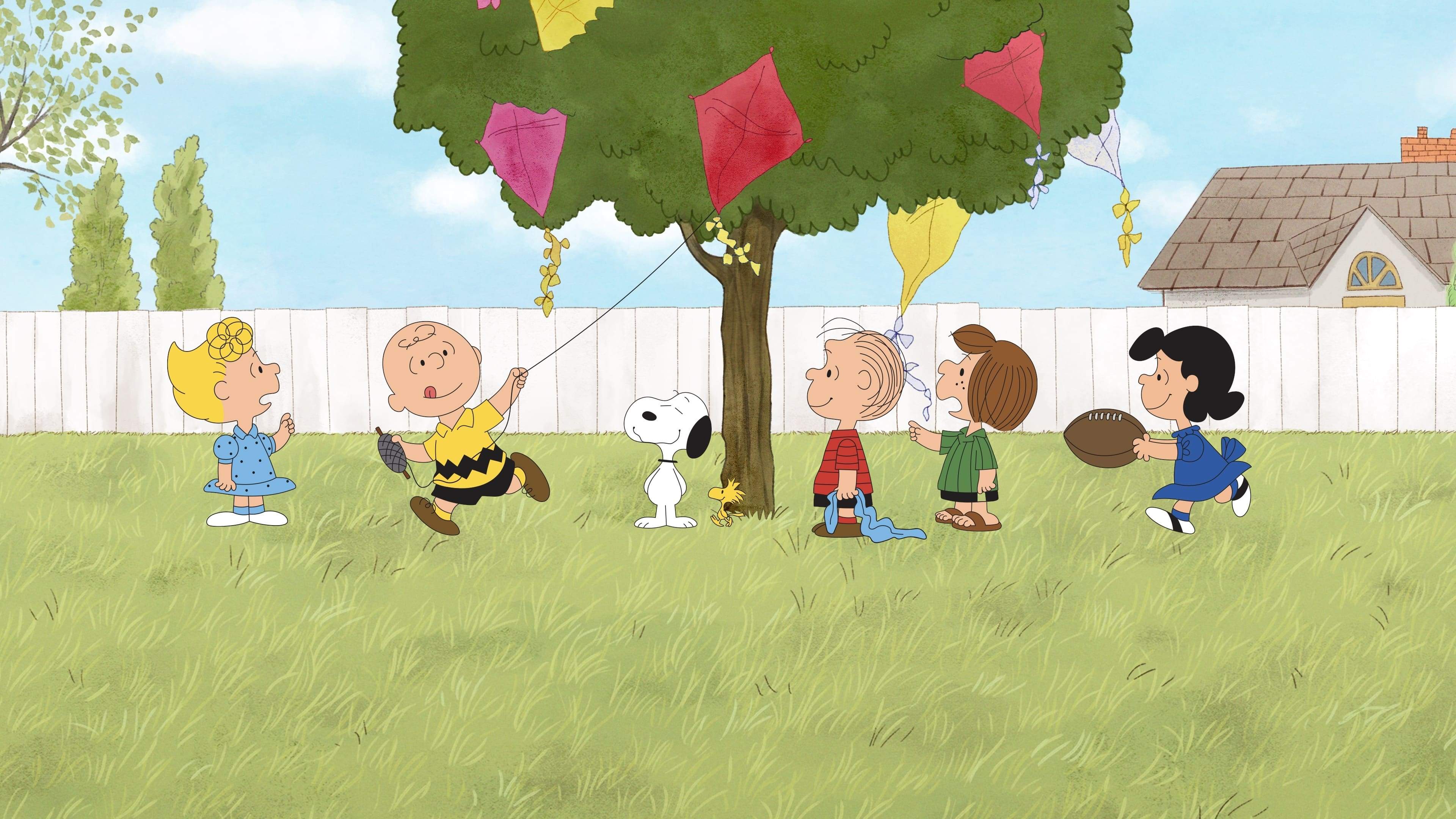 Backdrop for A Charlie Brown Celebration