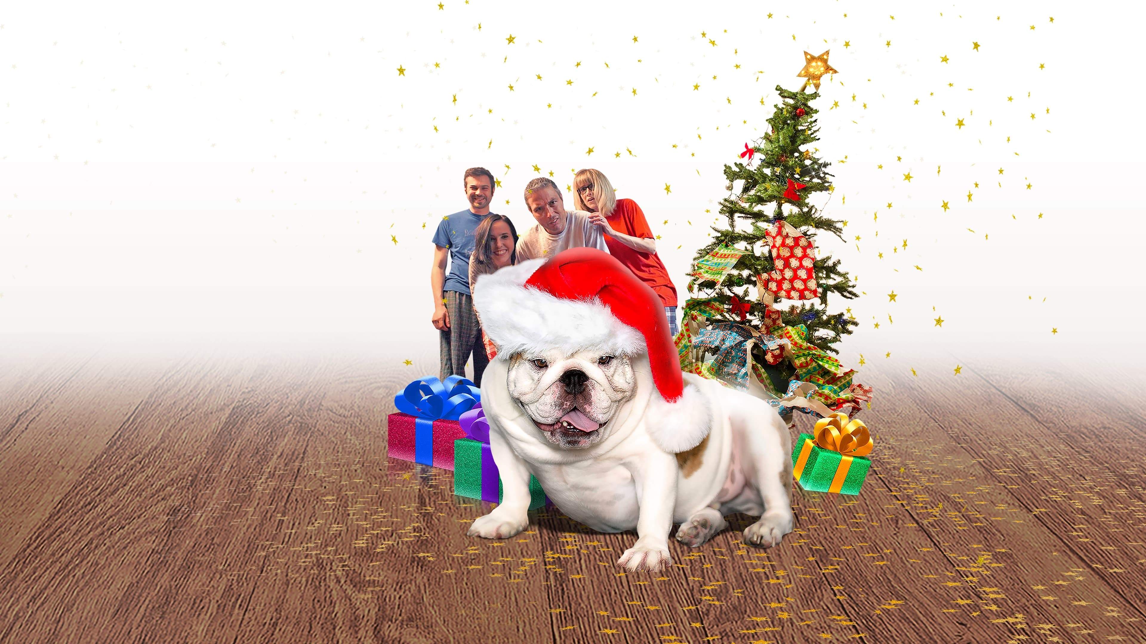 Backdrop for A Bulldog for Christmas