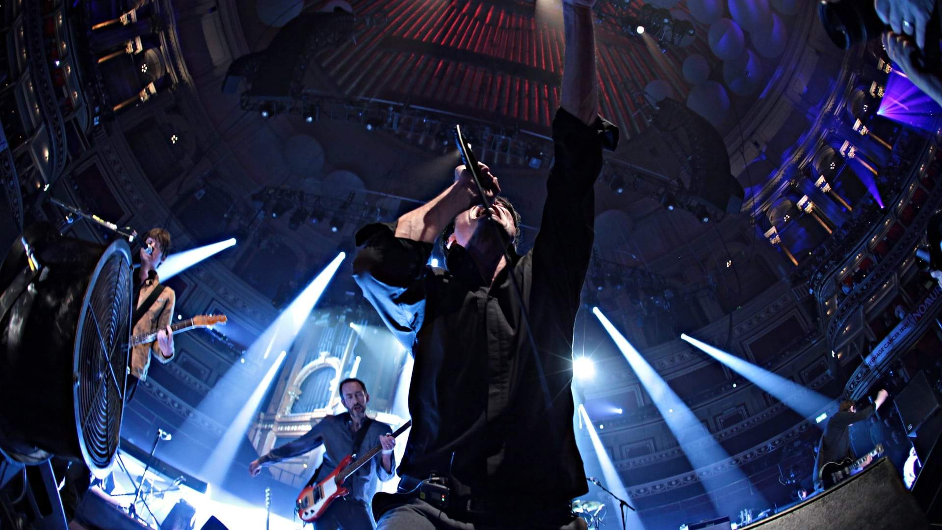 Backdrop for Suede - Live at the Royal Albert Hall