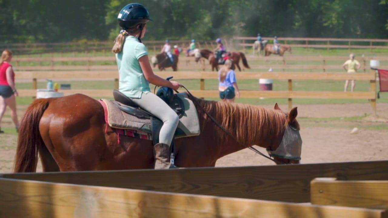 Backdrop for Horse Camp: A Love Tail