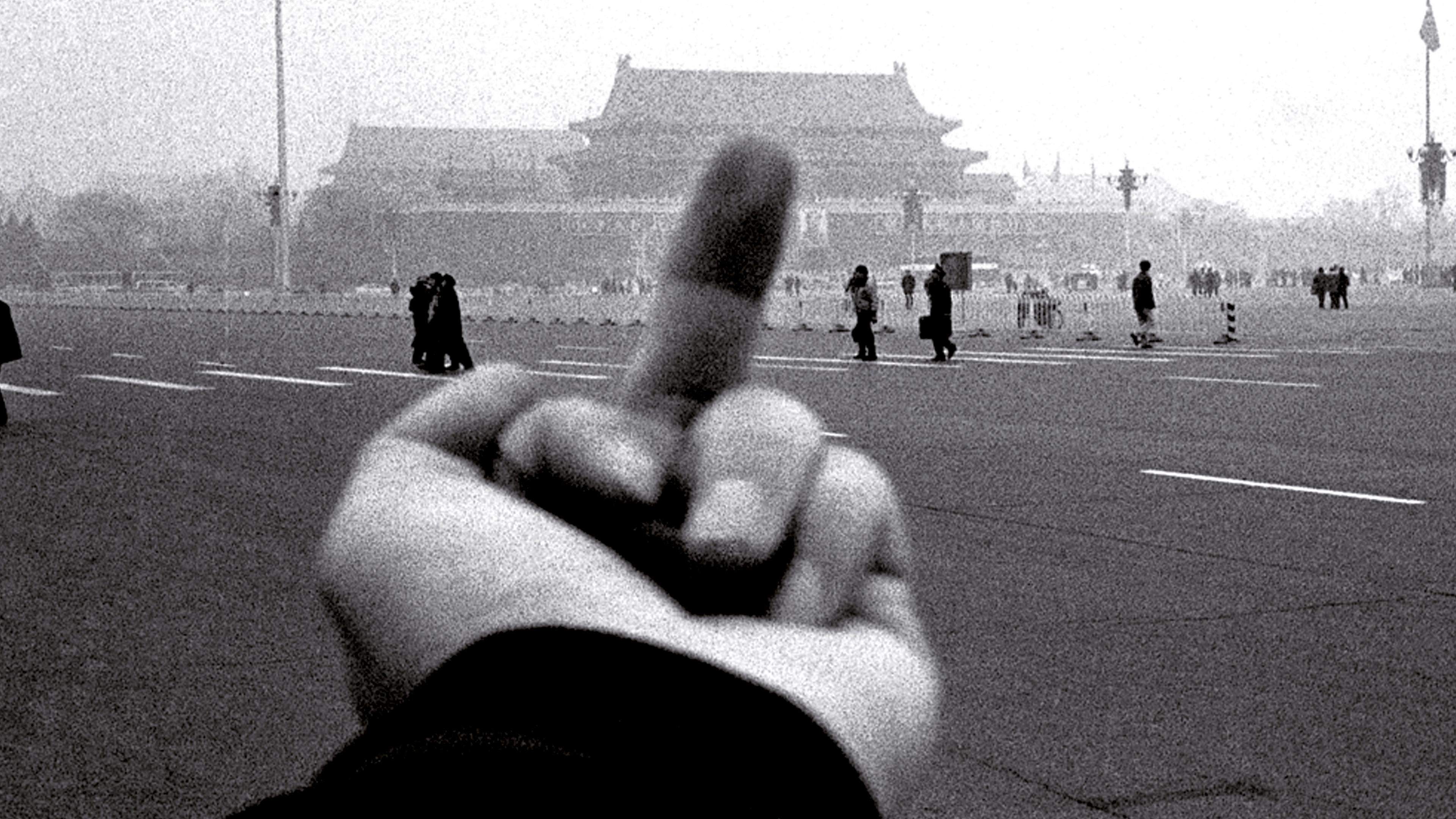 Backdrop for Ai Weiwei: Never Sorry