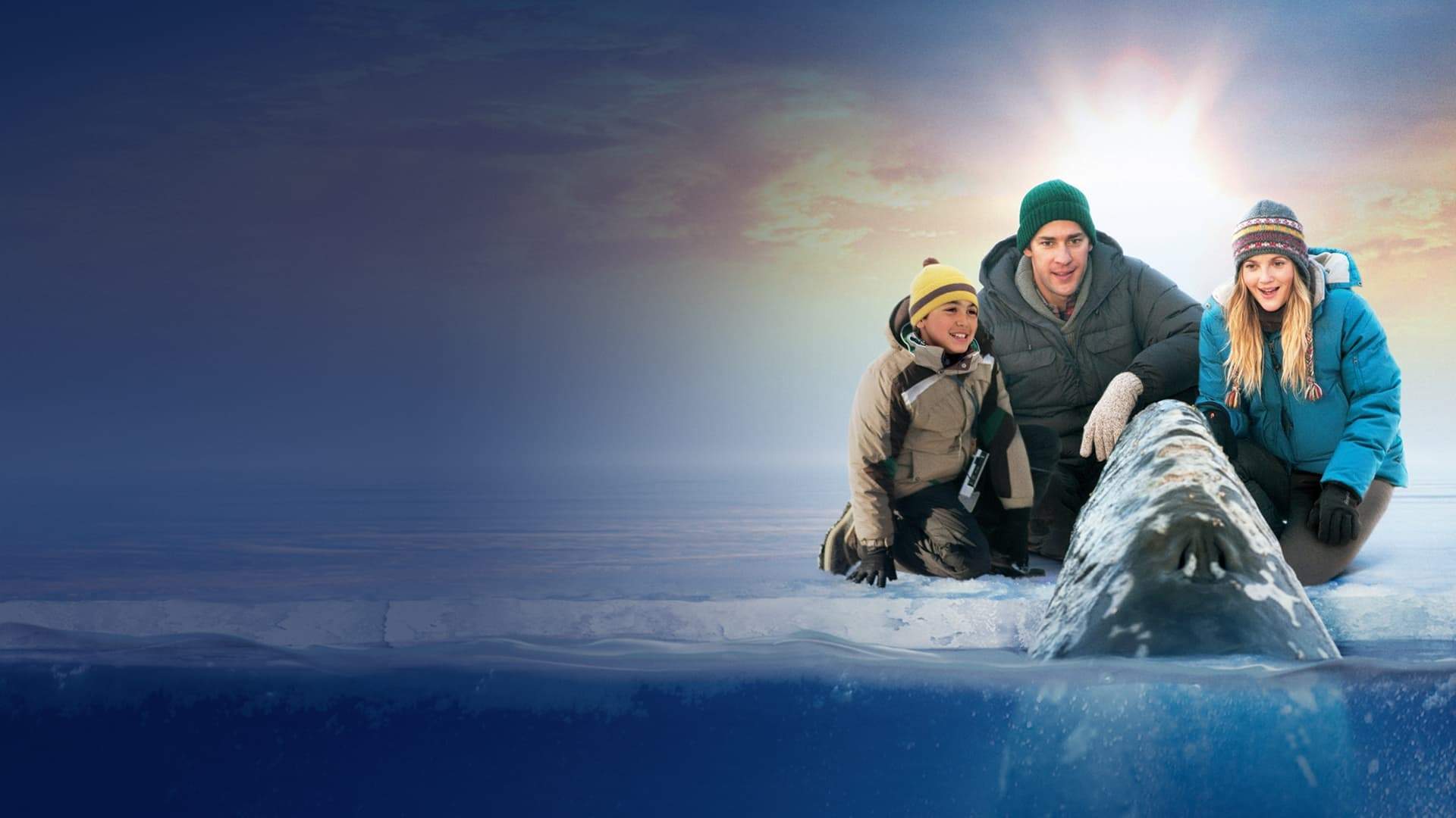 Backdrop for Big Miracle