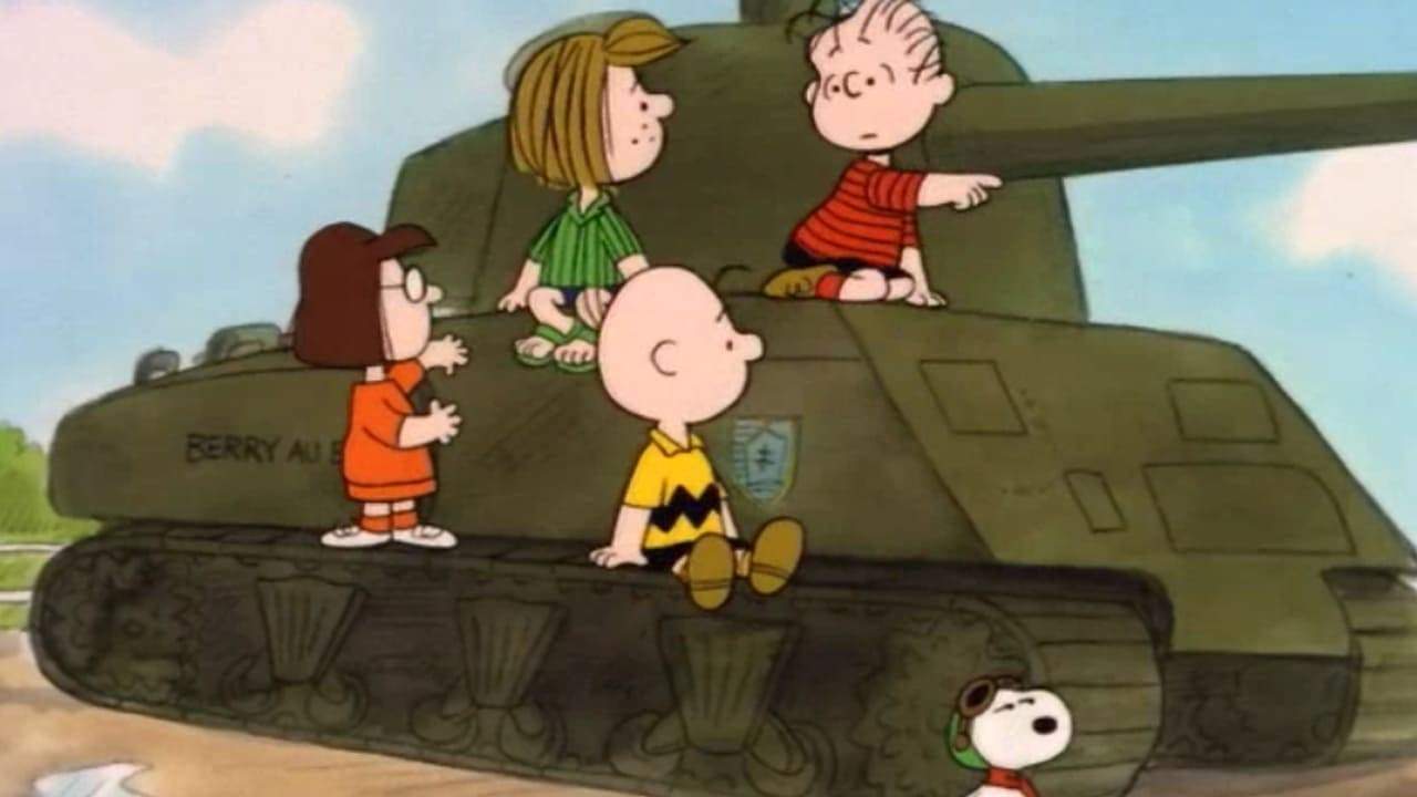 Backdrop for What Have We Learned, Charlie Brown?