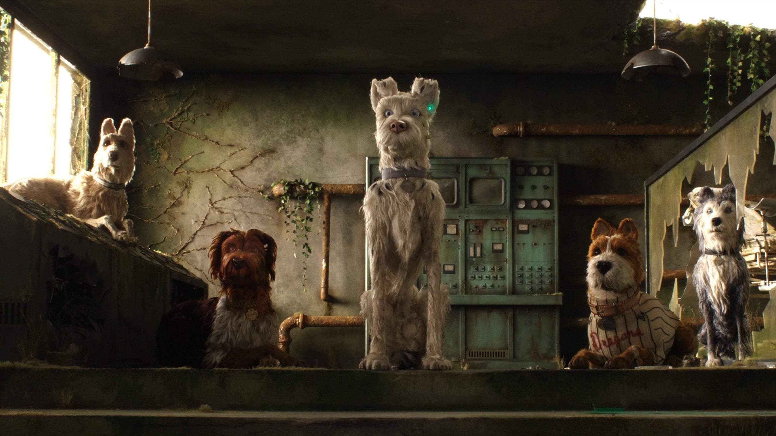 Backdrop for Isle of Dogs