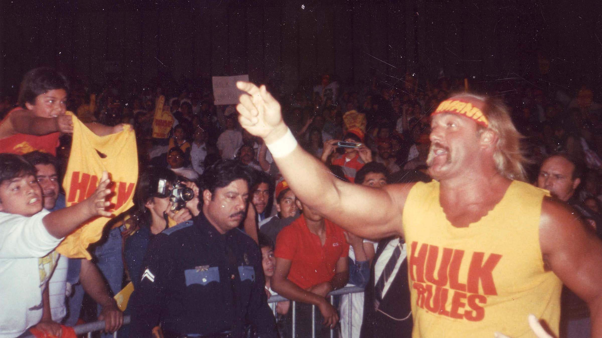 Backdrop for WWE: Hulk Hogan: The Ultimate Anthology