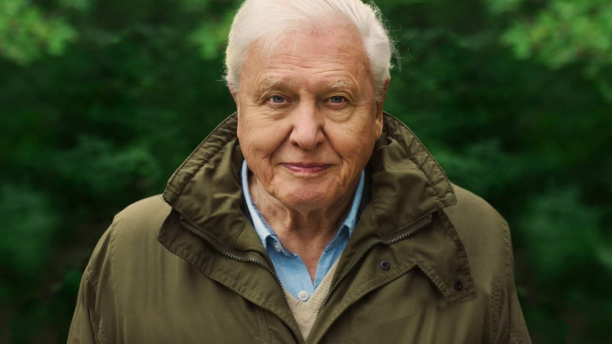 Backdrop for David Attenborough: A Life on Our Planet