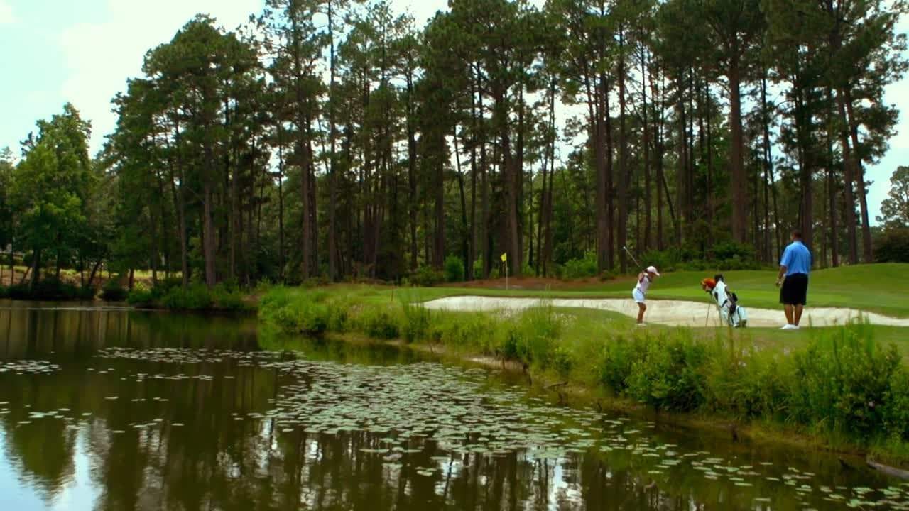 Backdrop for The Short Game