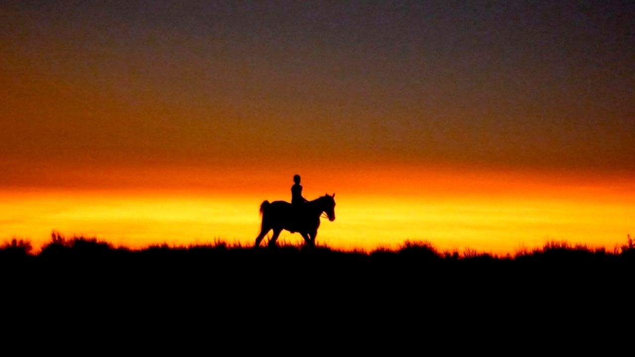 Backdrop for Reel Injun