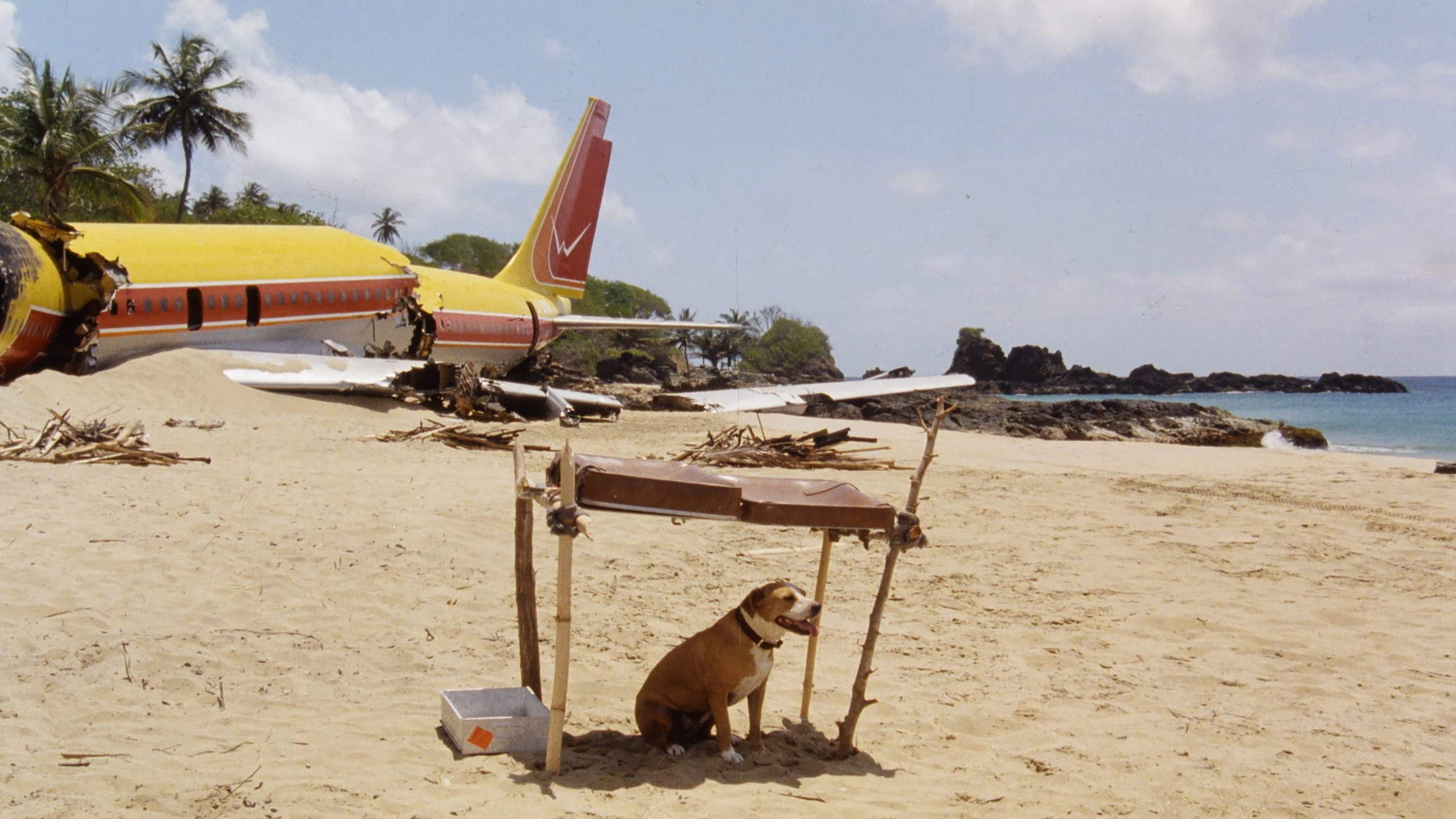 Backdrop for The Last Island