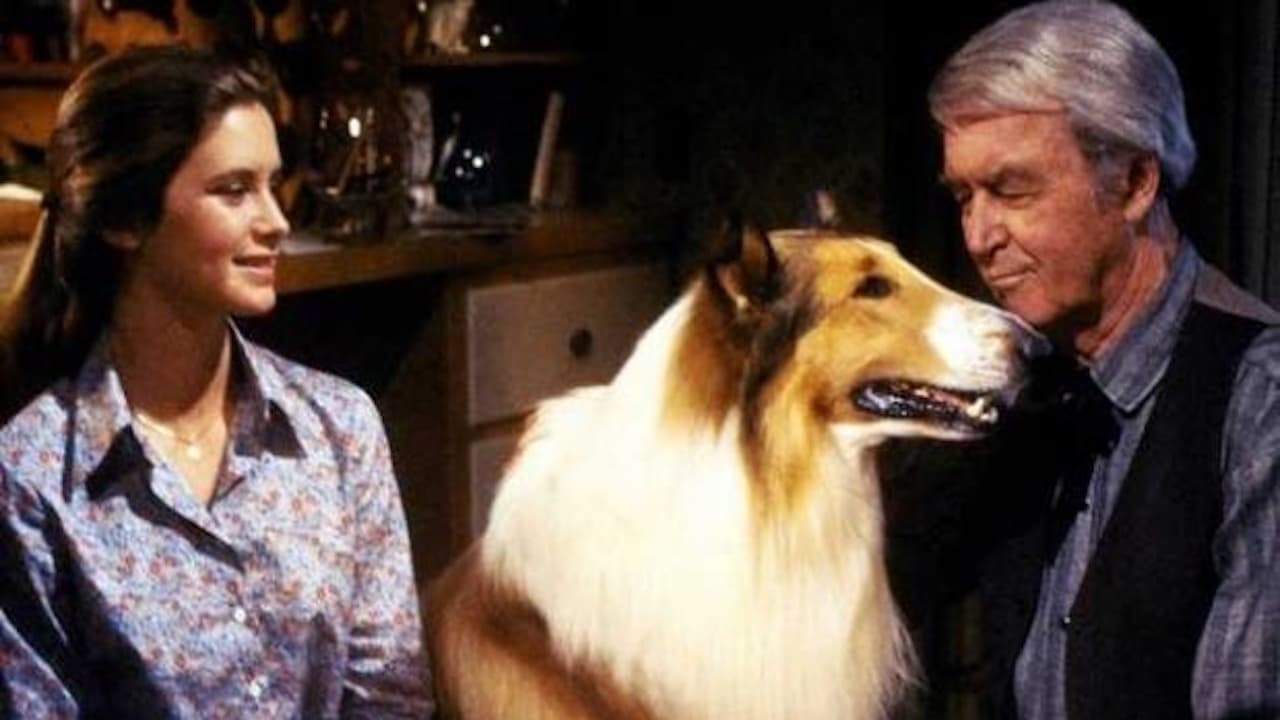 Backdrop for The Magic of Lassie