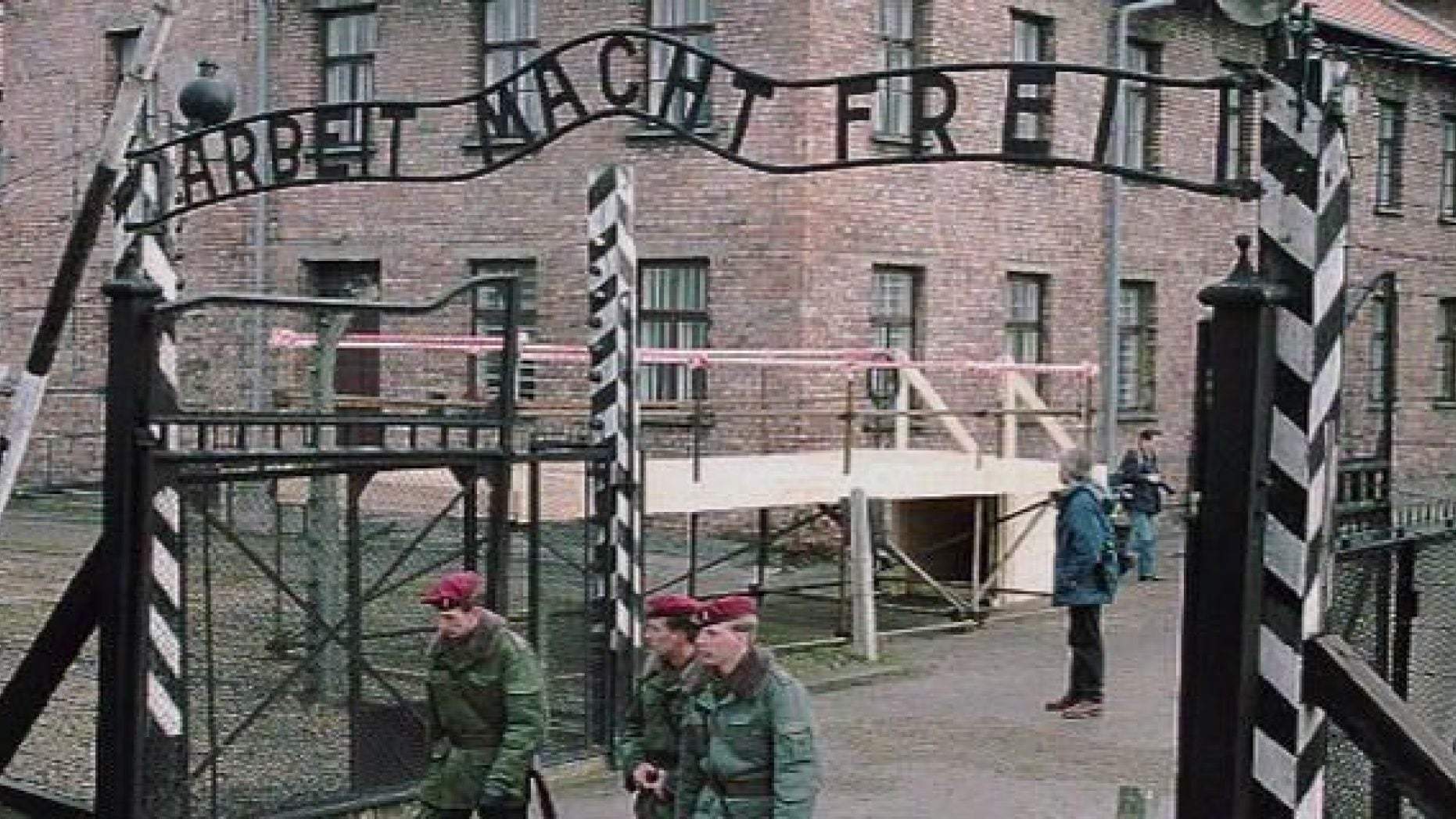 Backdrop for The Guard of Auschwitz