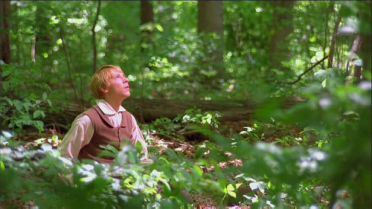 Backdrop for Joseph Smith: The Prophet of the Restoration