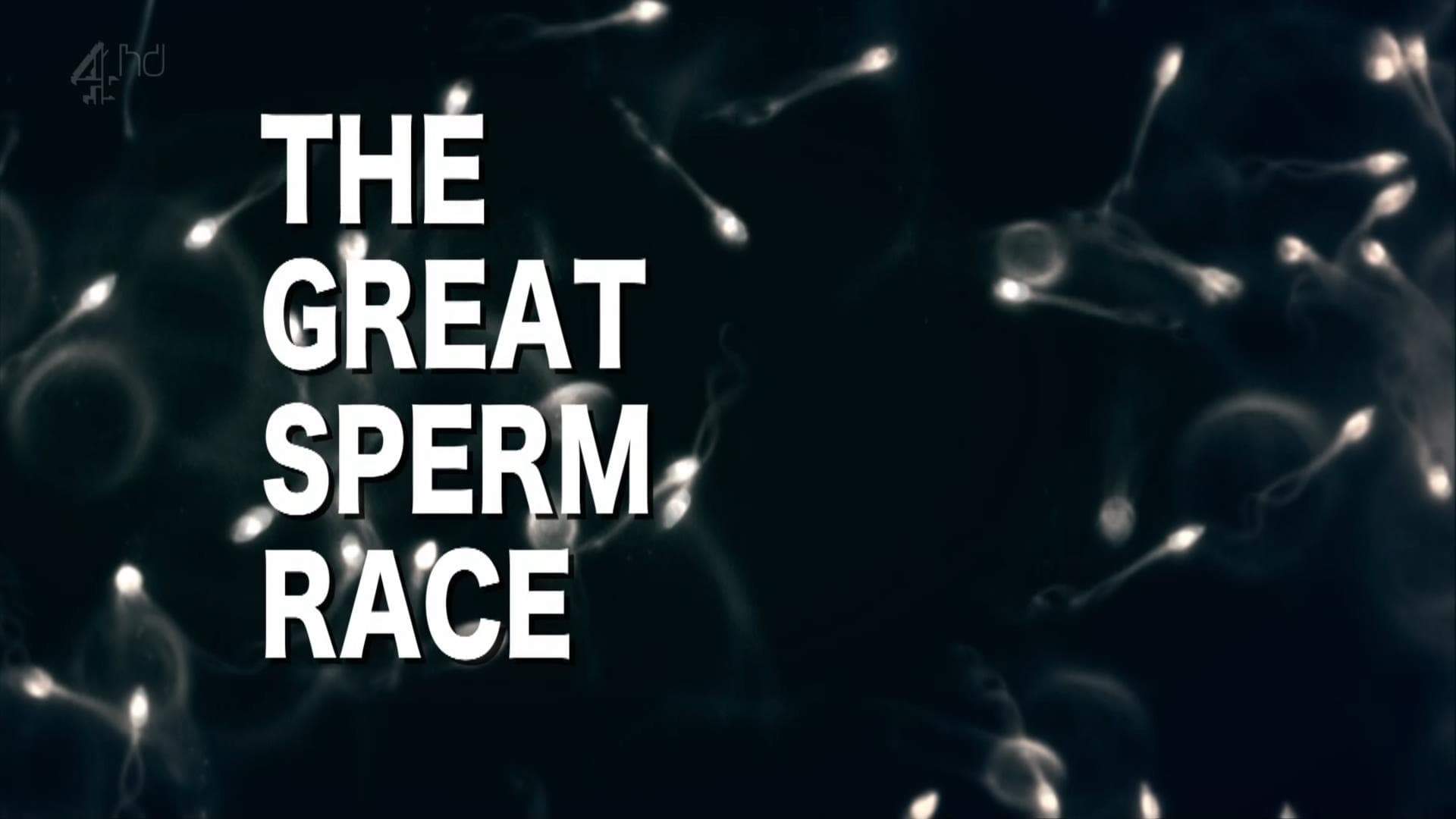 Backdrop for The Great Sperm Race