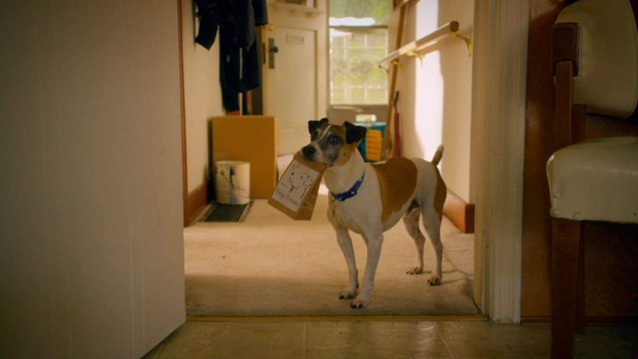 Backdrop for Treasure Hounds