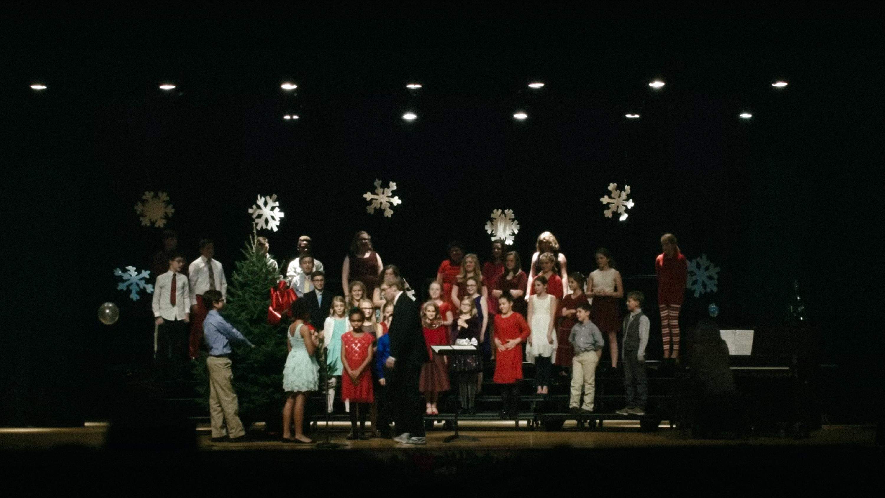 Backdrop for Joe Pera Helps You Find the Perfect Christmas Tree