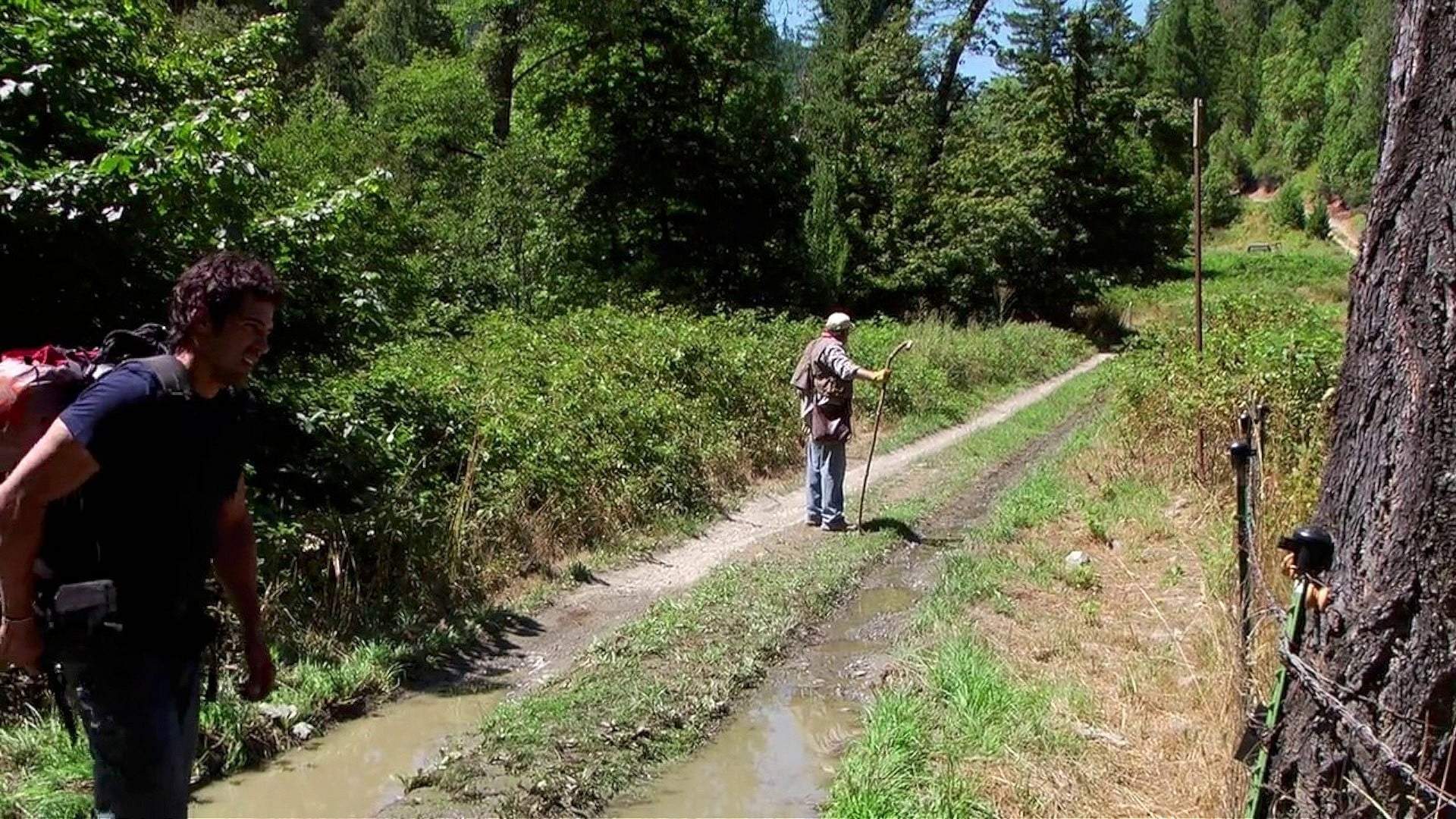 Backdrop for Bigfoot County