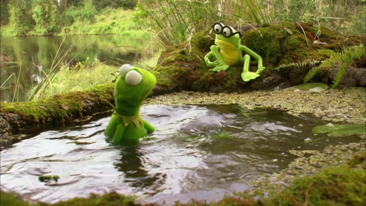 Backdrop for Kermit's Swamp Years