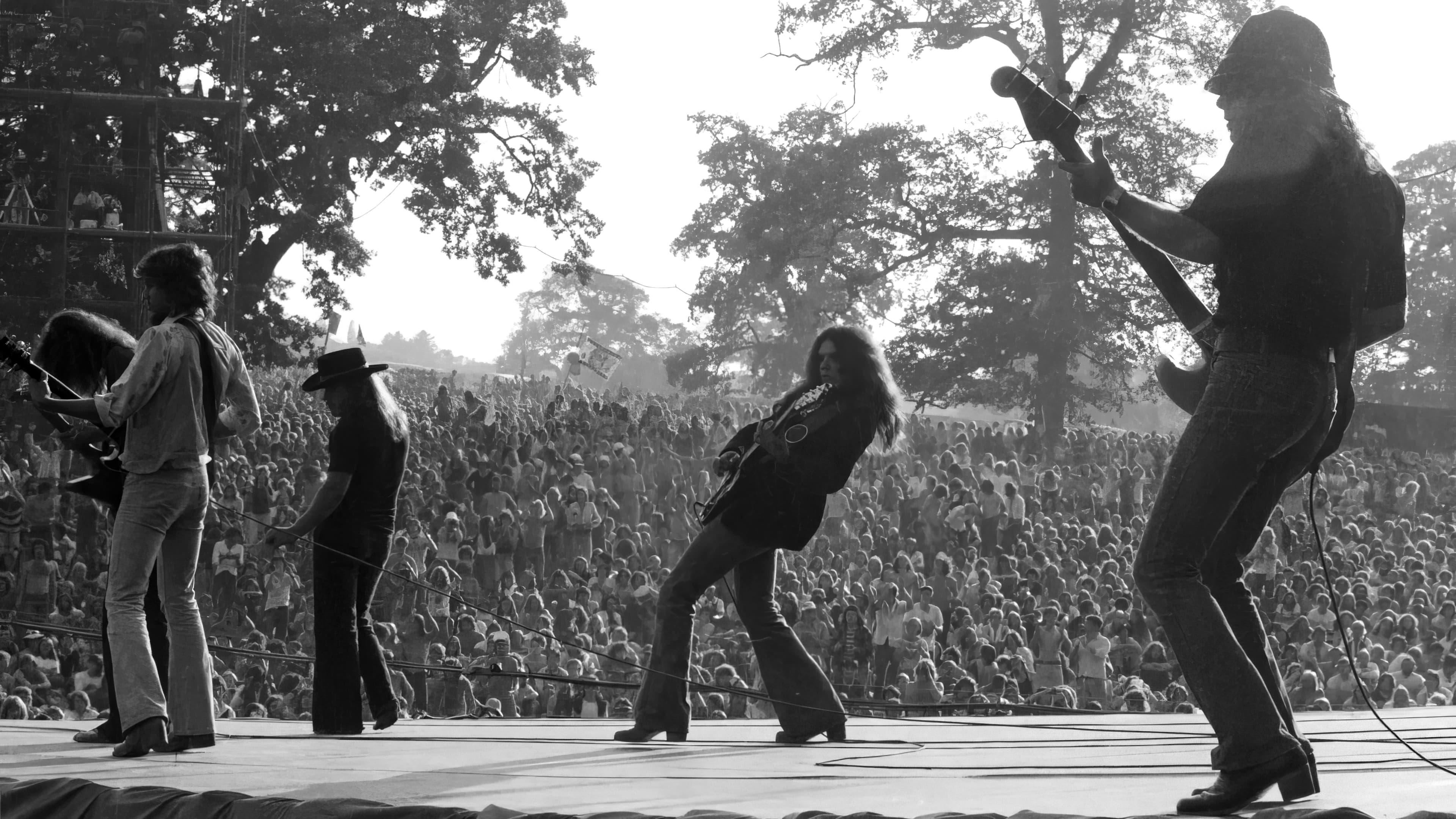 Backdrop for Lynyrd Skynyrd: Live at Knebworth '76