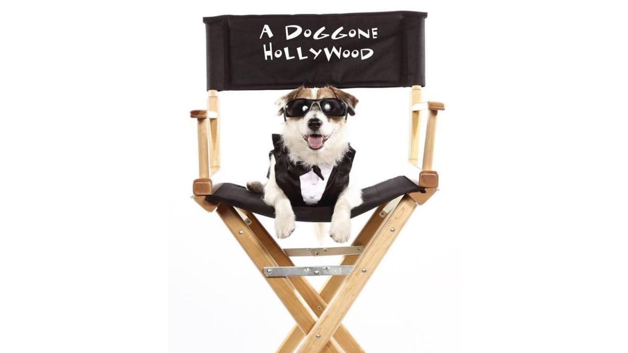 Backdrop for A Doggone Hollywood