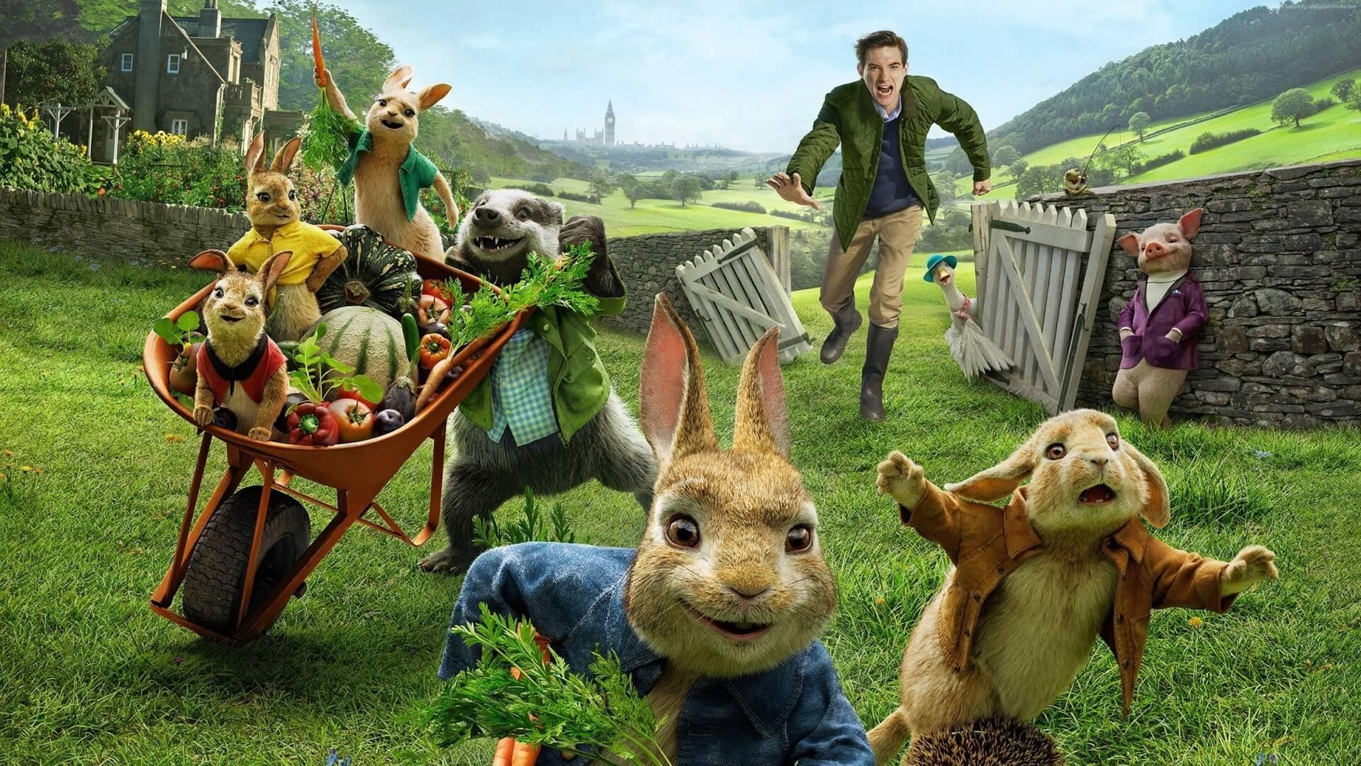 Backdrop for Peter Rabbit