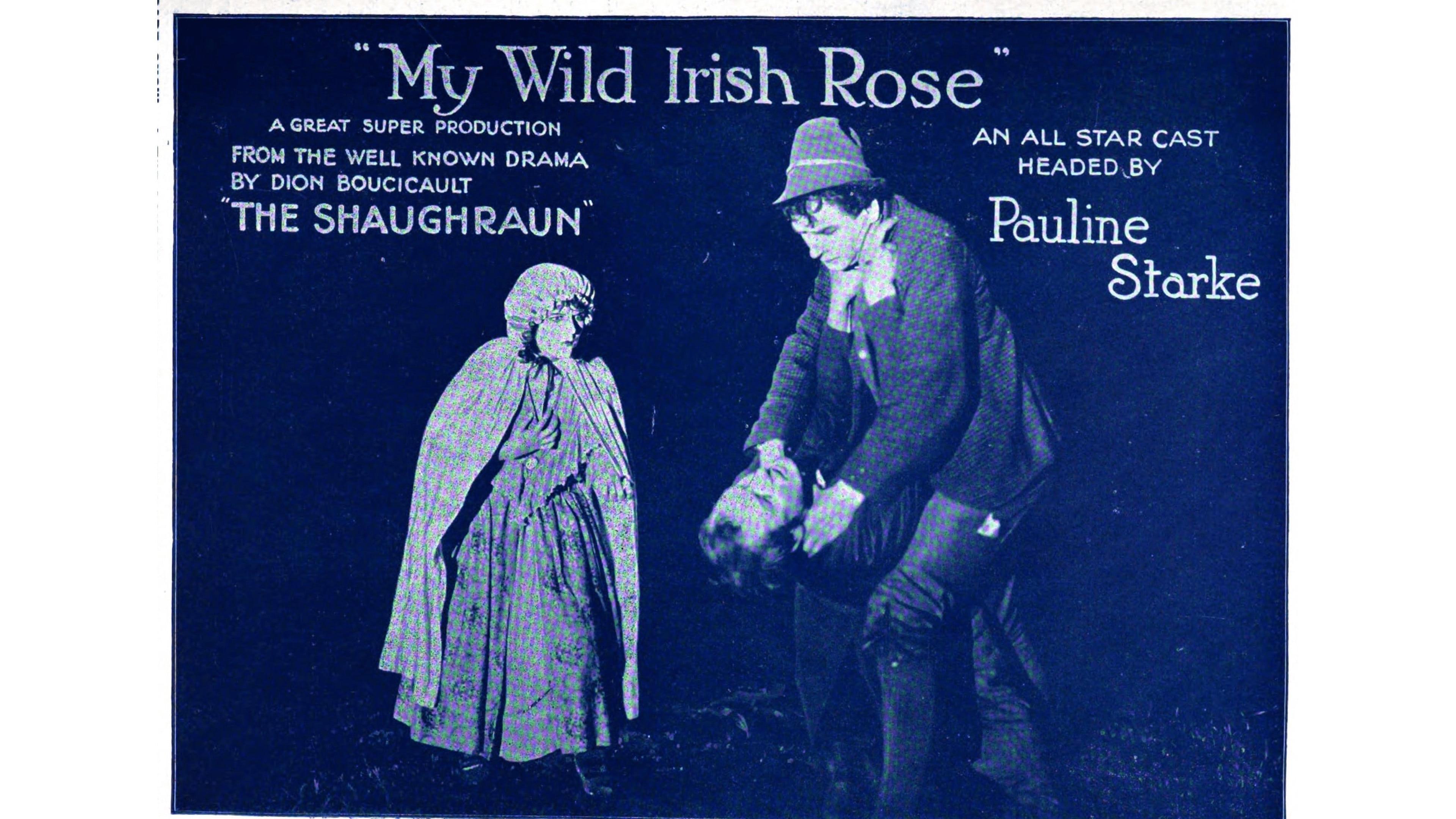 Backdrop for My Wild Irish Rose