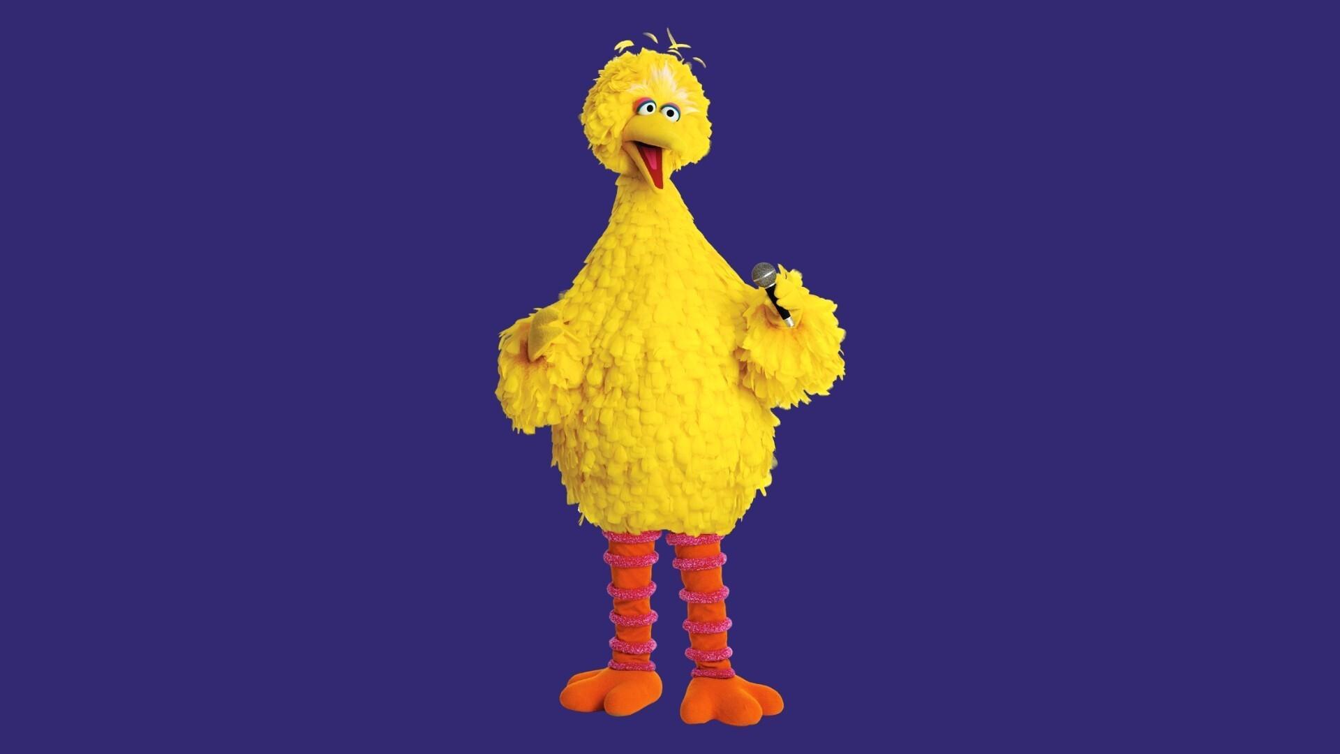 Backdrop for Sesame Street: Big Bird Sings!