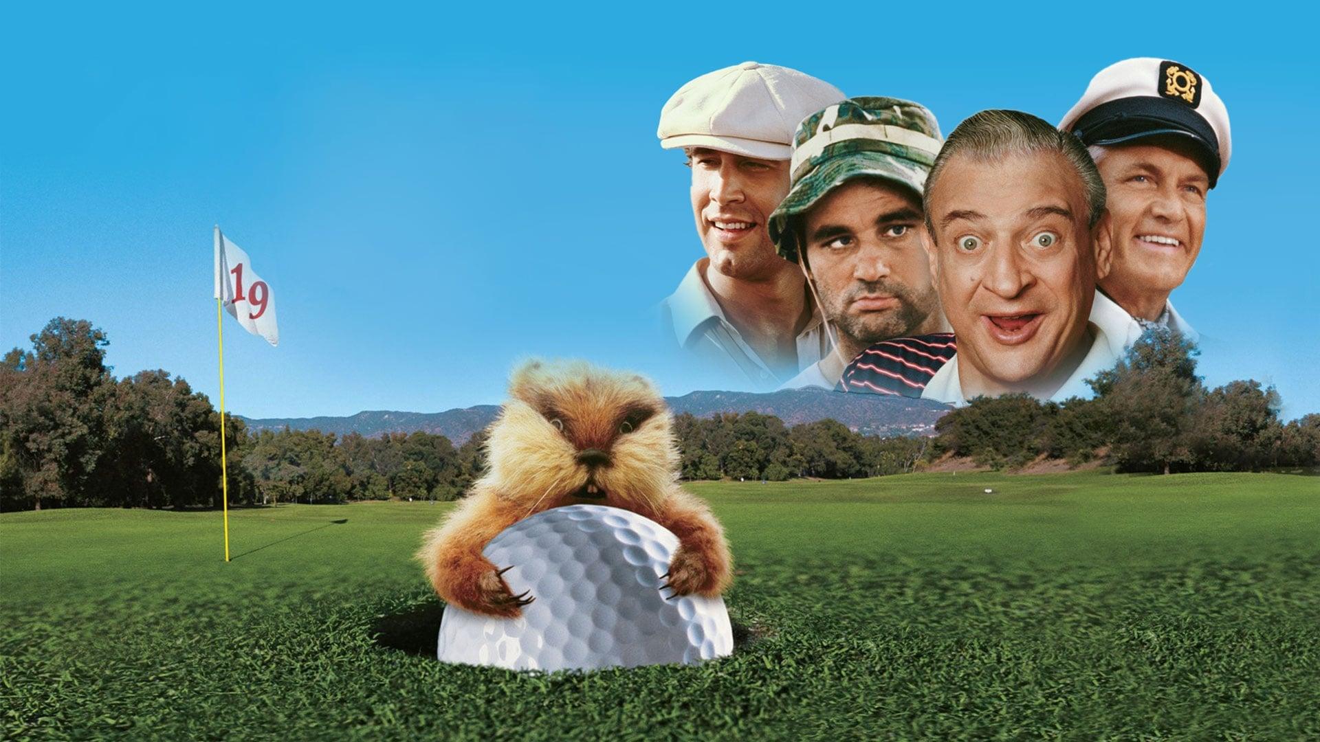 Backdrop for Caddyshack