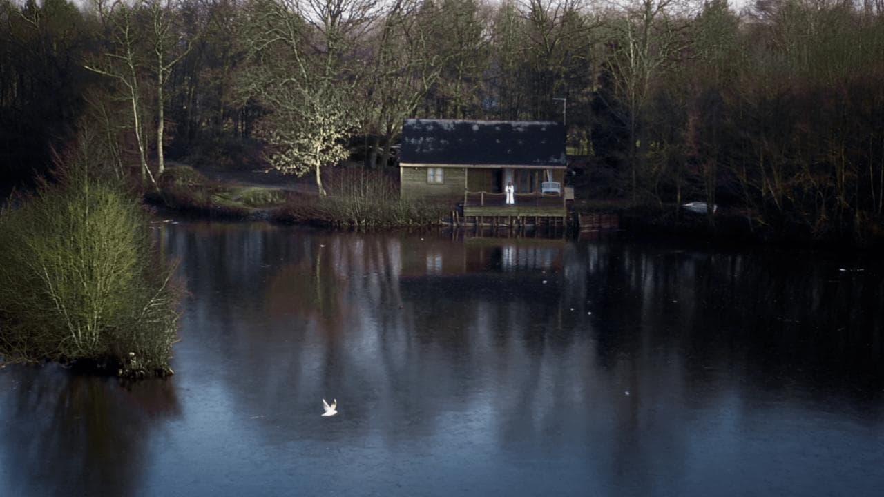 Backdrop for House on Elm Lake