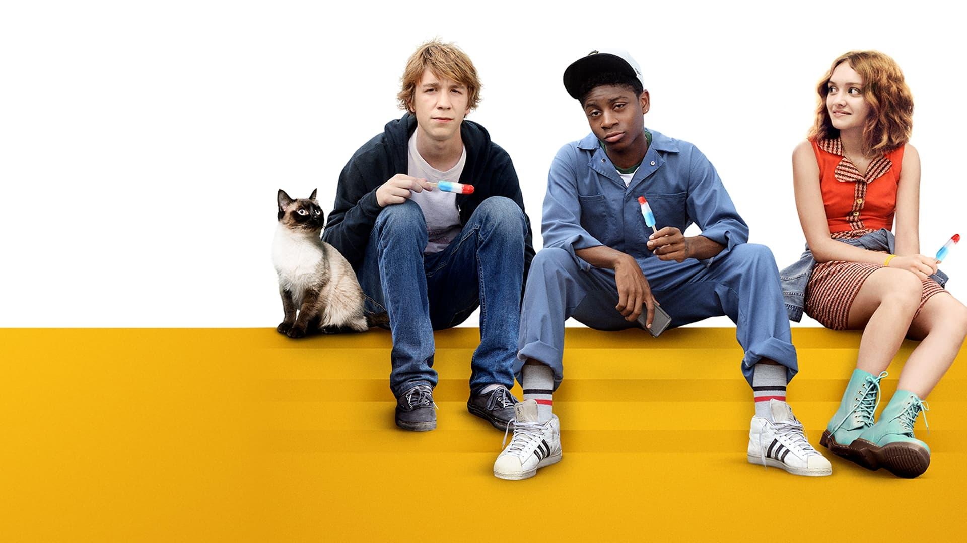 Backdrop for Me and Earl and the Dying Girl