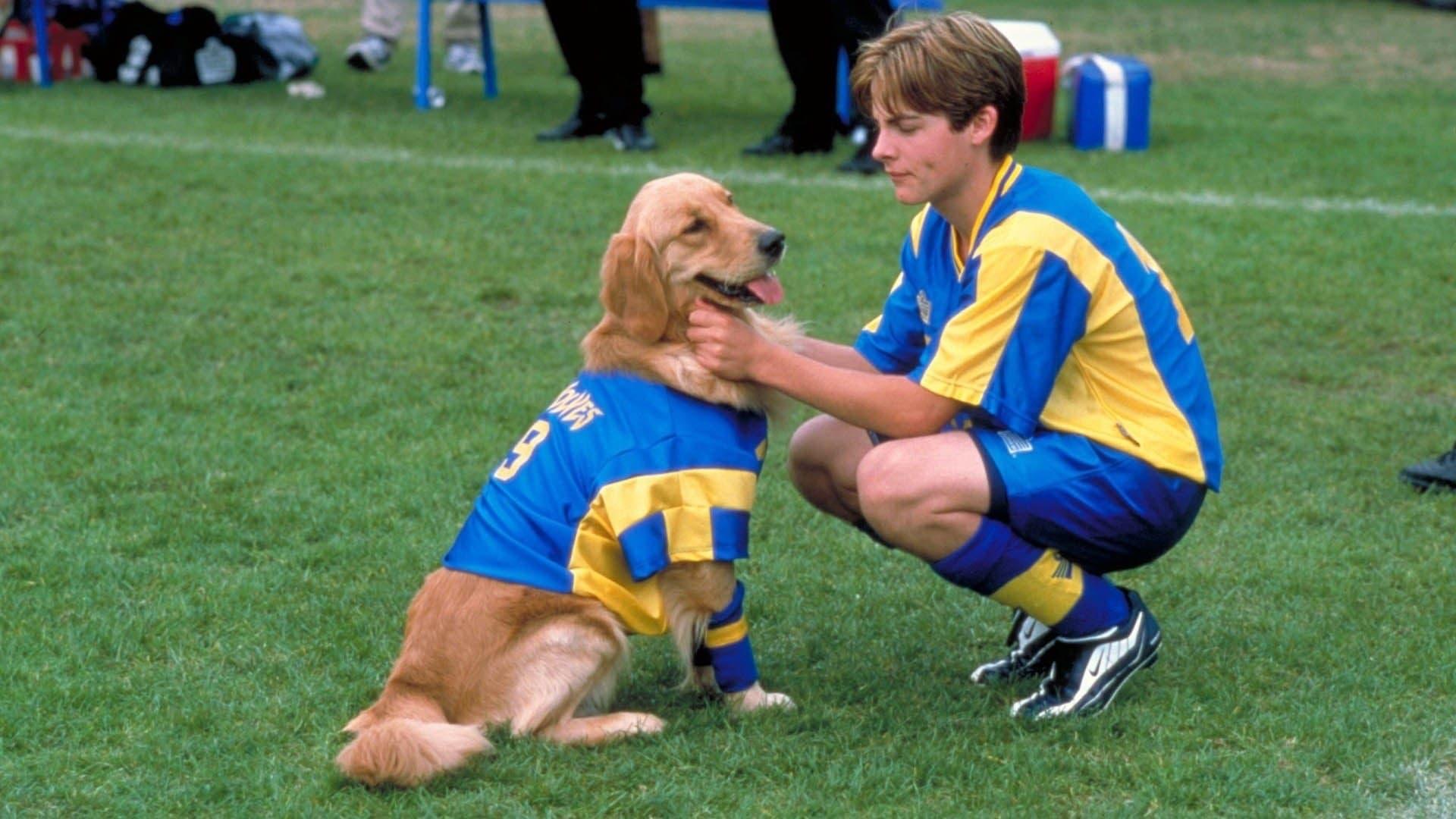 Backdrop for Air Bud: World Pup