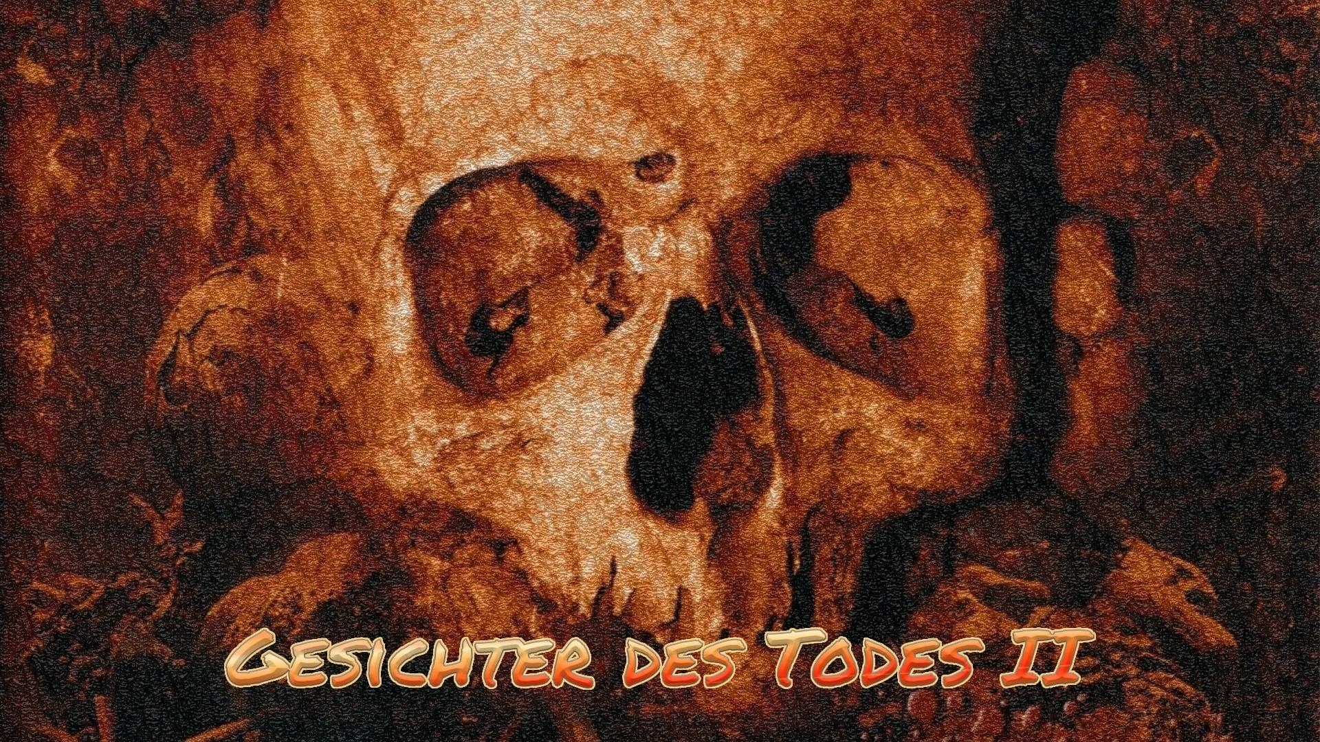 Backdrop for Faces of Death II