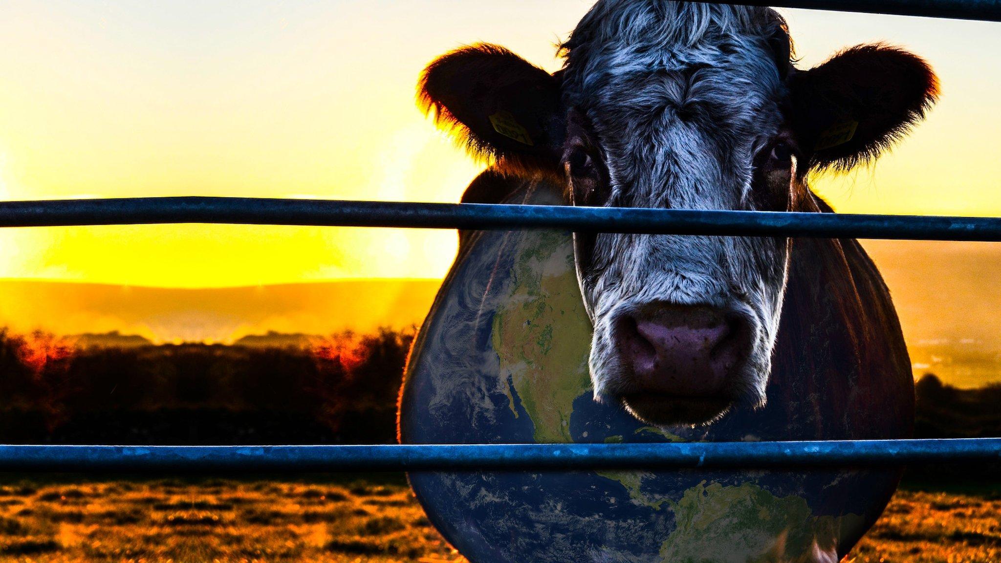 Backdrop for Cowspiracy: The Sustainability Secret