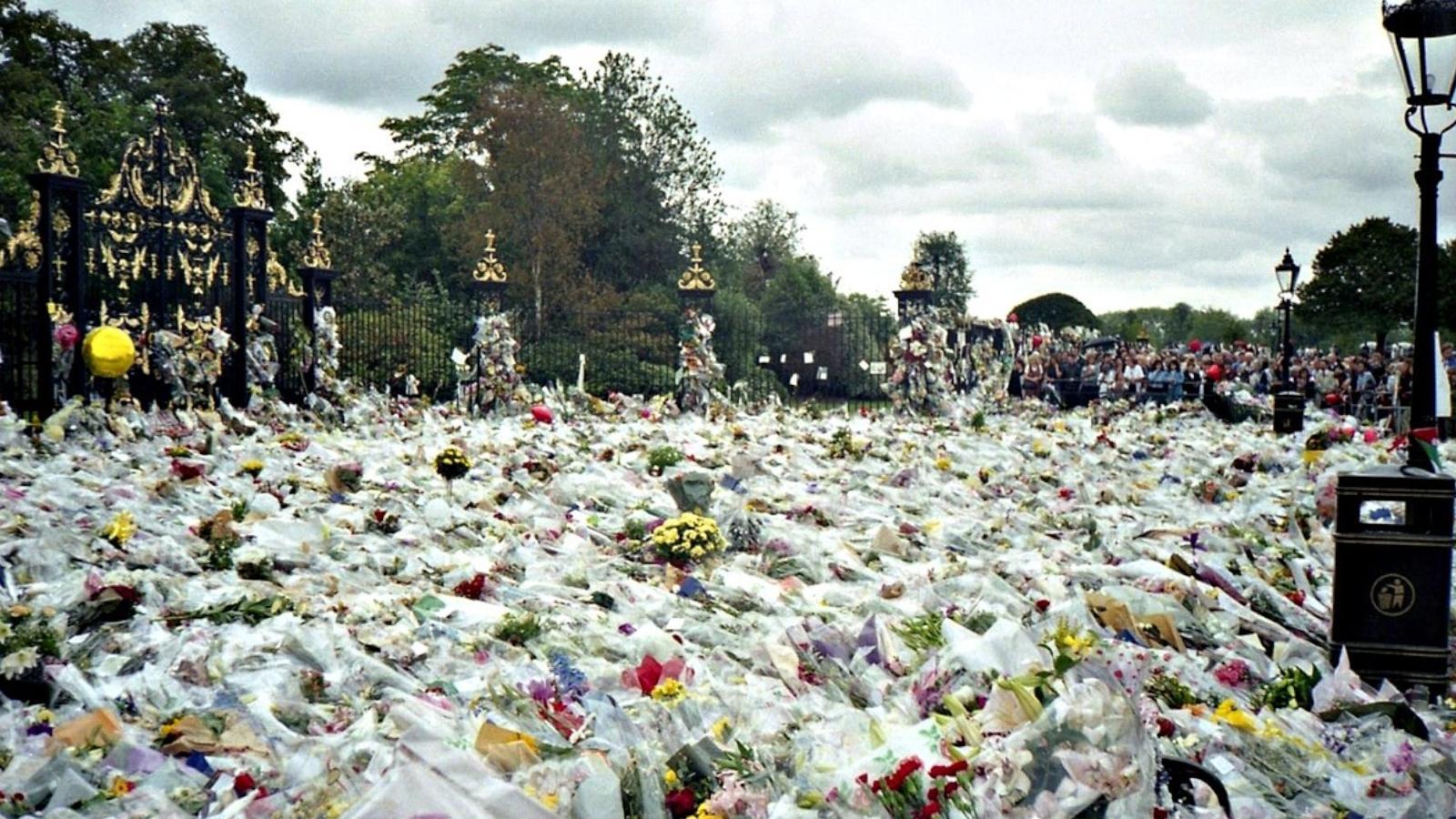 Backdrop for The Last Days of Princess Diana