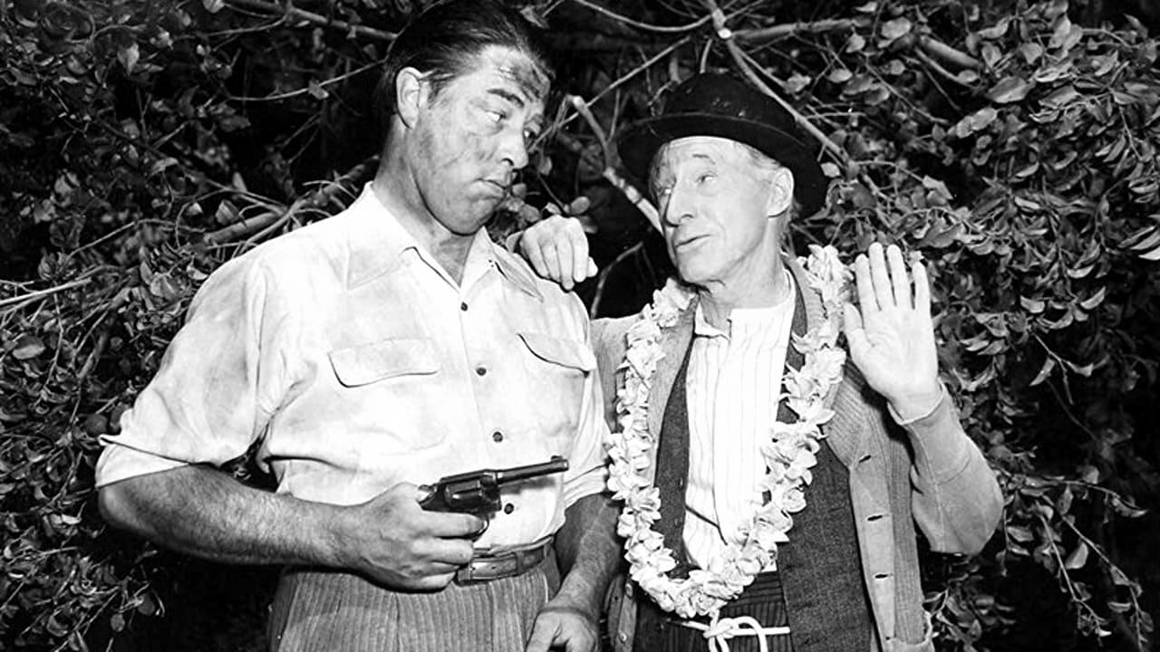 Backdrop for Ma and Pa Kettle at Waikiki