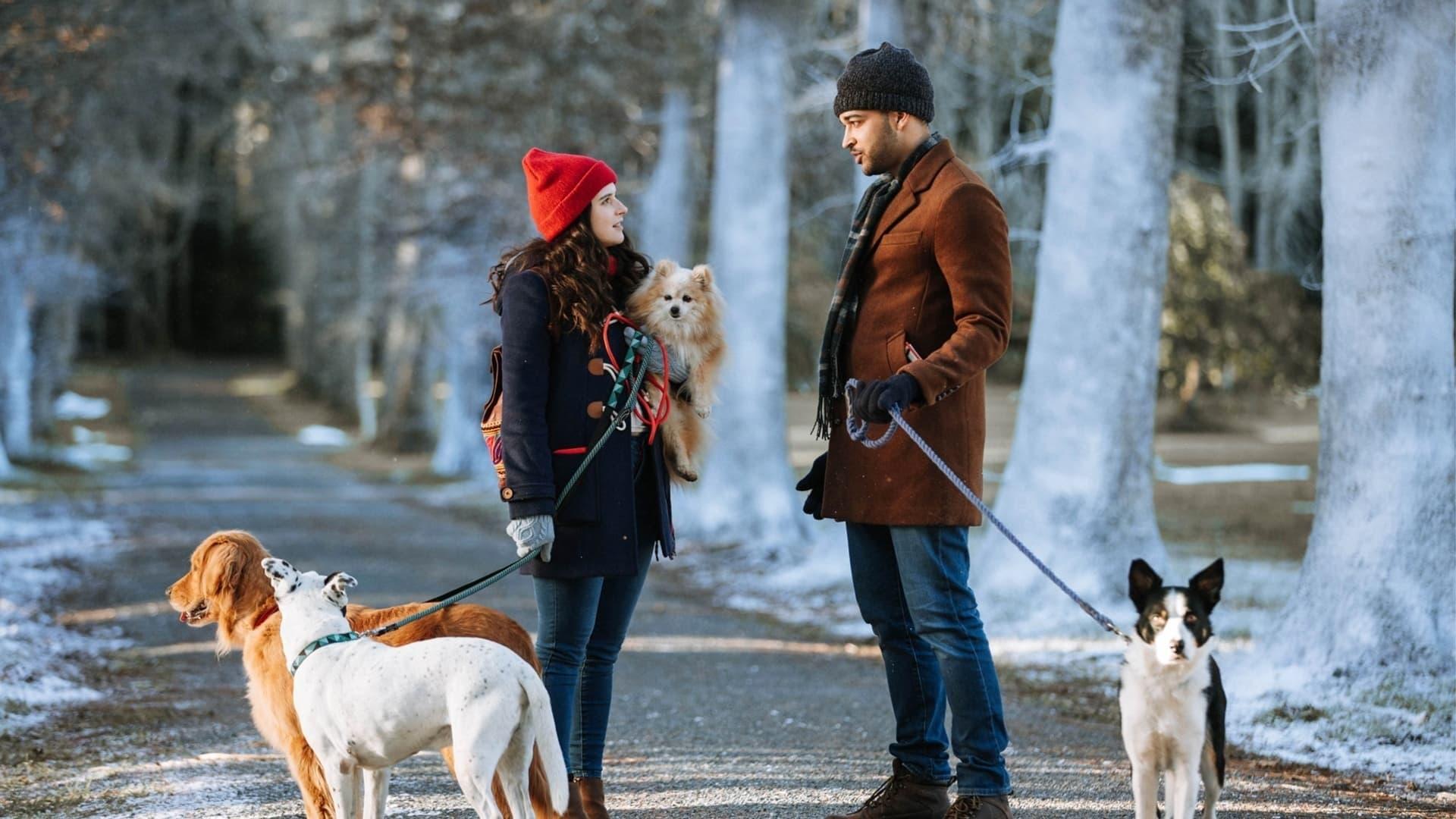 Backdrop for The Dog Days of Christmas