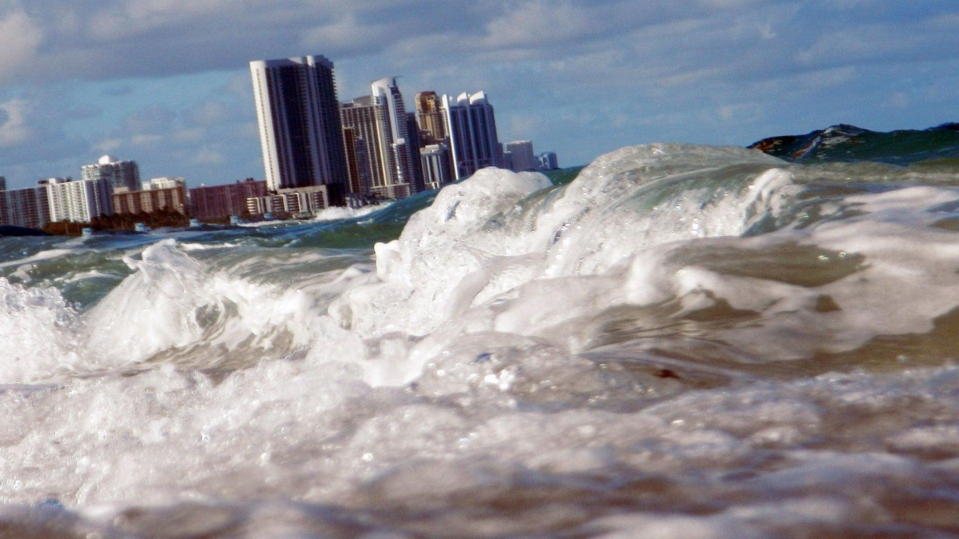 Backdrop for Oceans Rising