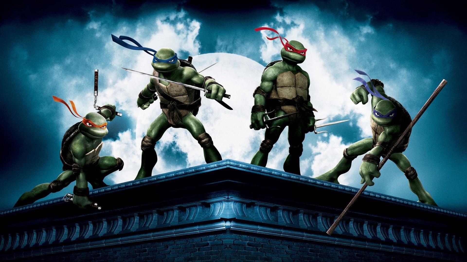 Backdrop for TMNT