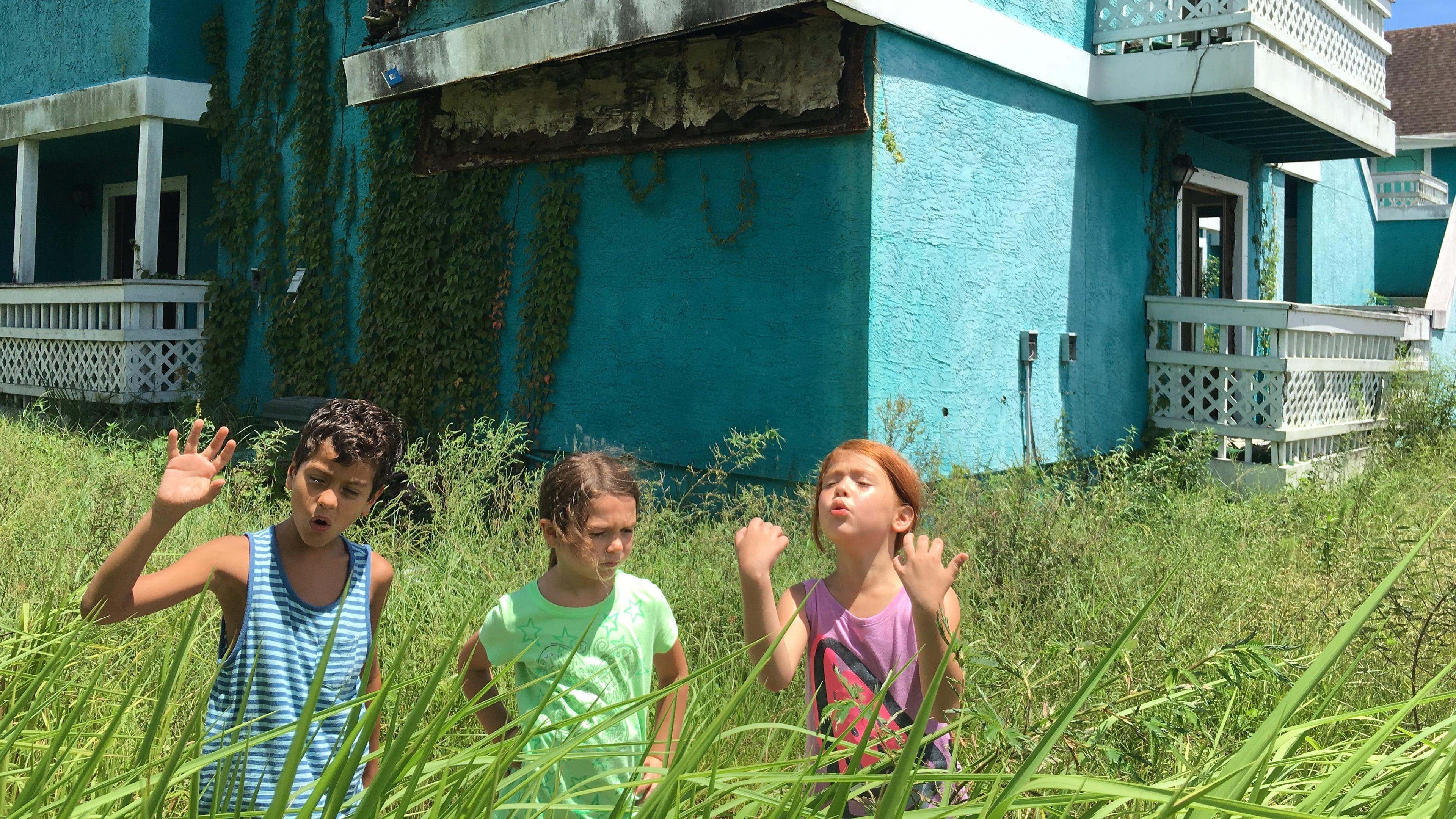 Backdrop for The Florida Project