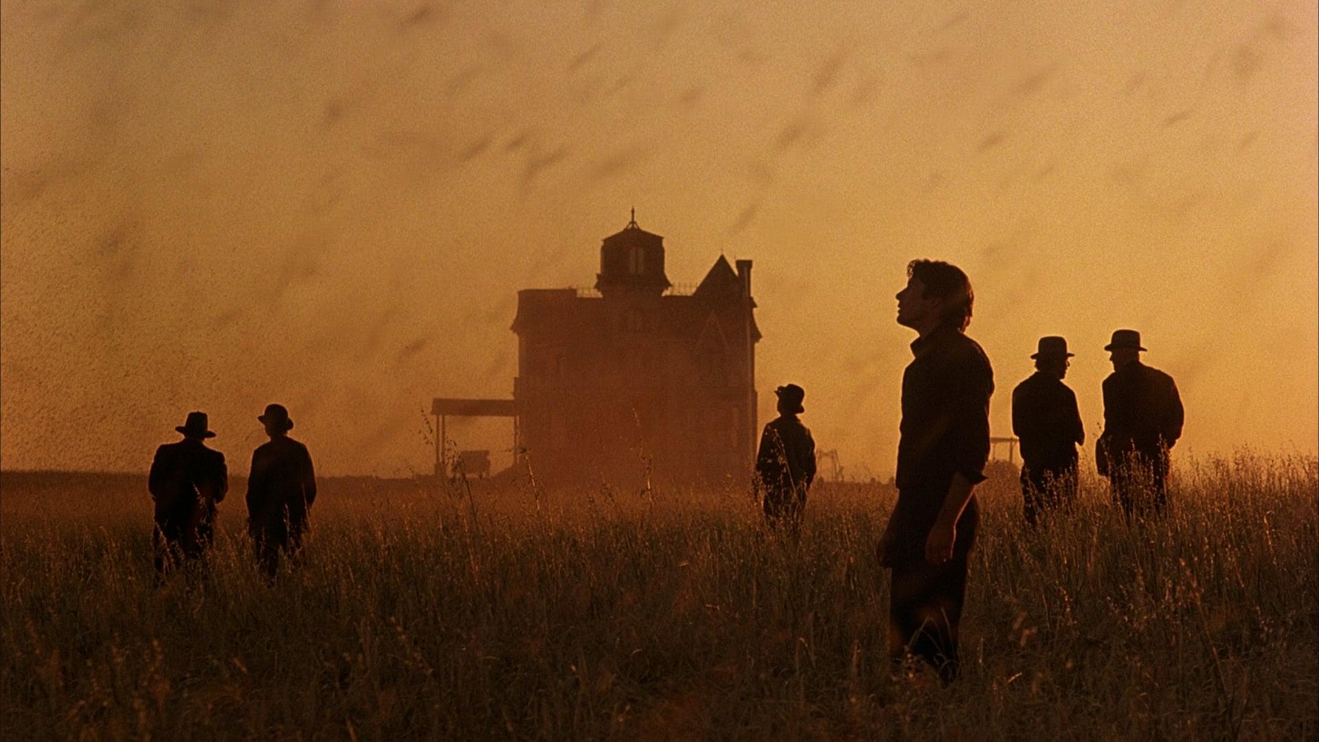 Backdrop for Days of Heaven