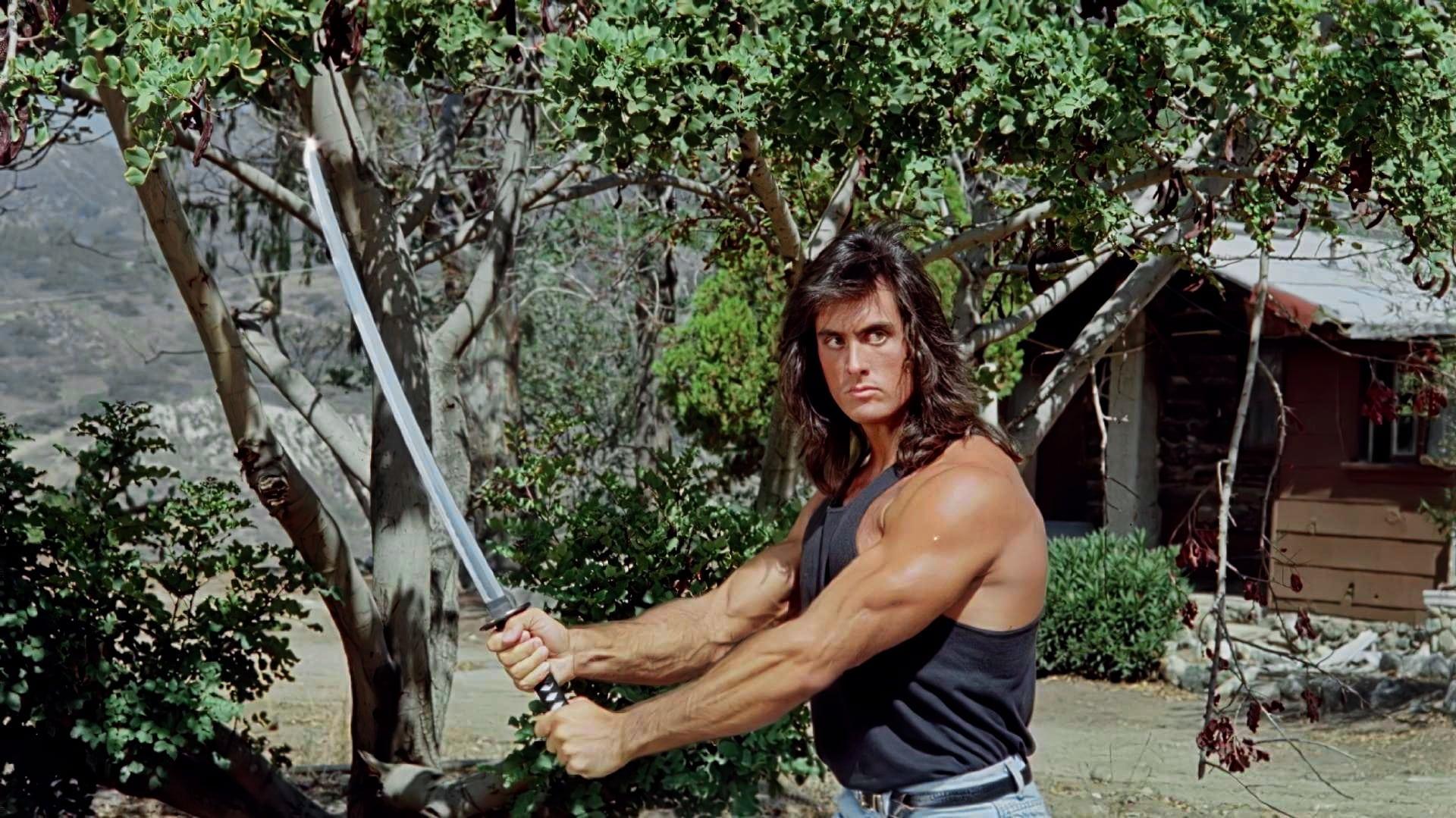 Backdrop for Samurai Cop