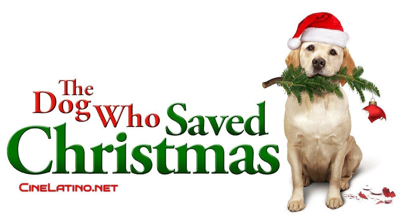 Backdrop for The Dog Who Saved the Holidays