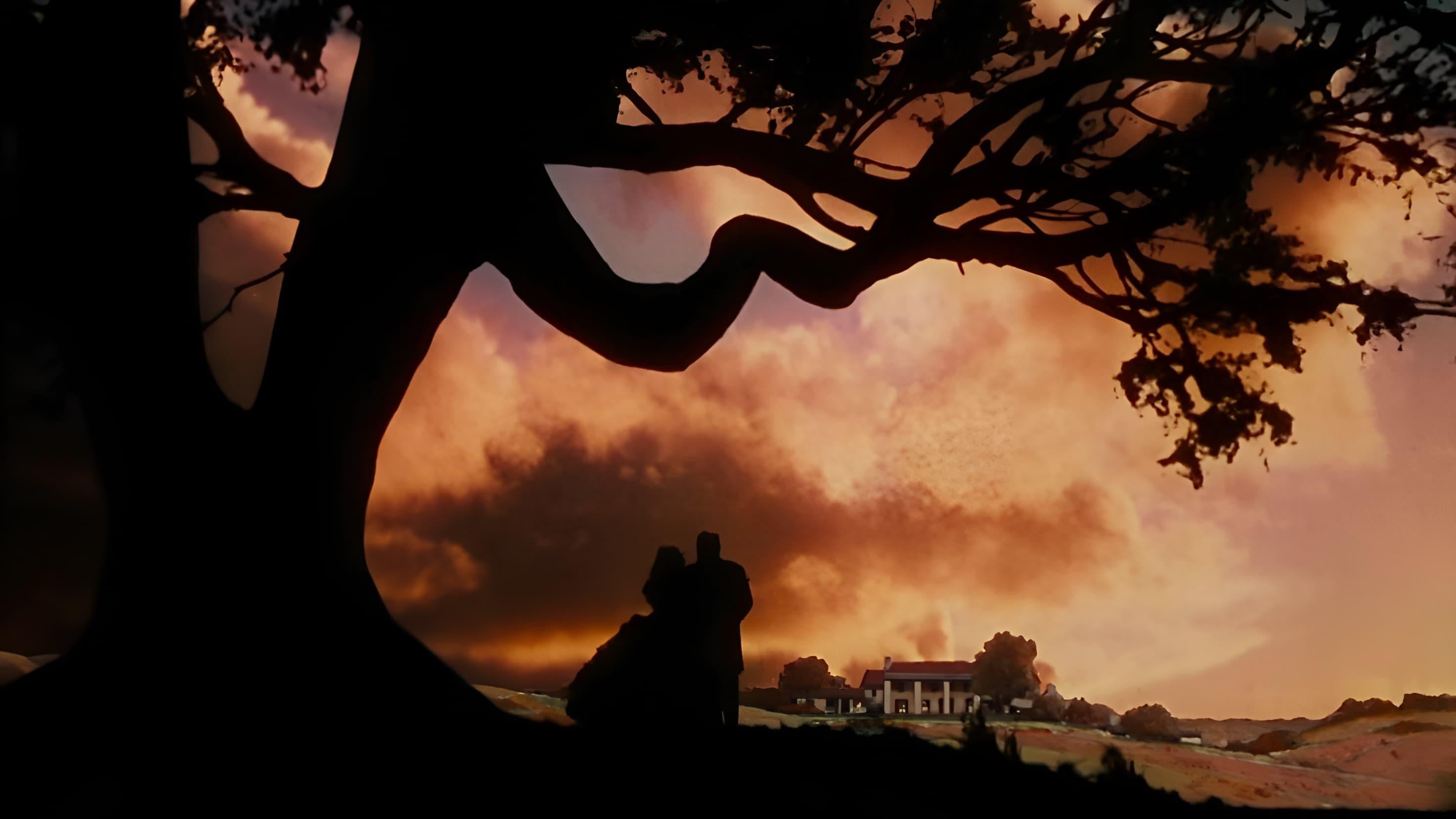 Backdrop for Gone with the Wind