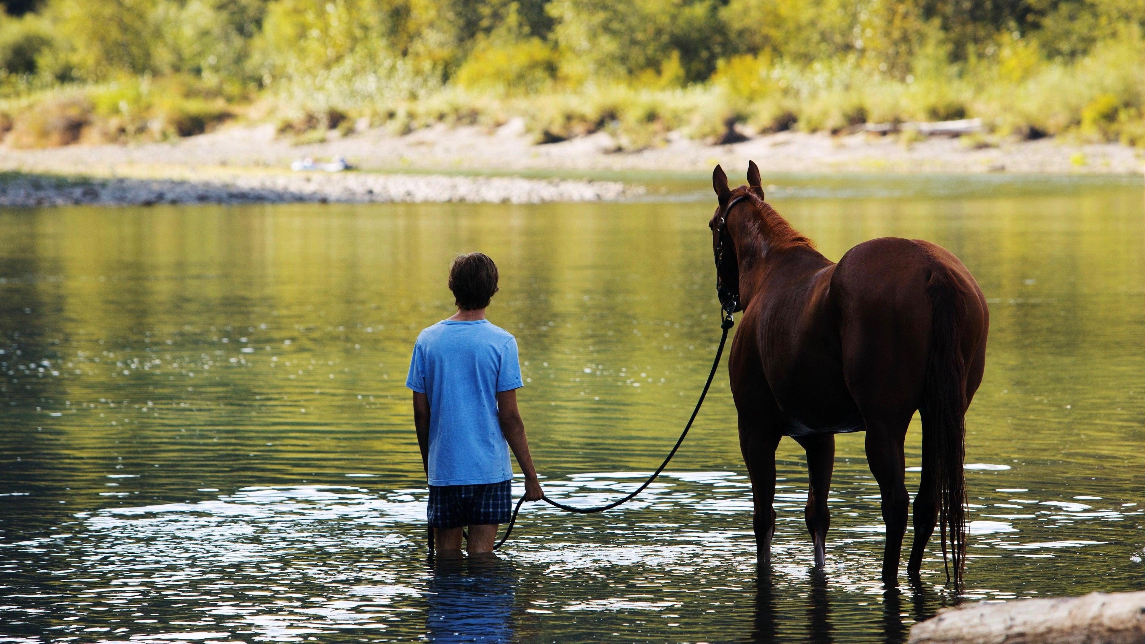 Backdrop for Lean on Pete