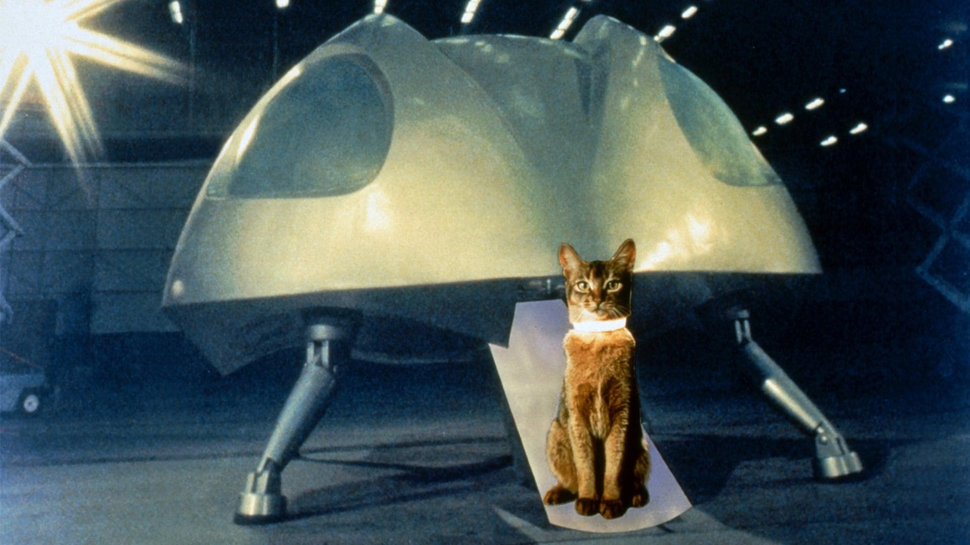 Backdrop for The Cat from Outer Space