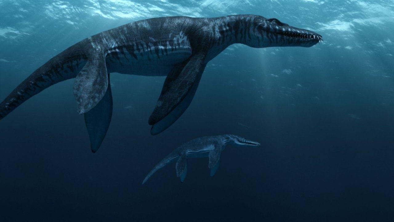 Backdrop for Sea Rex 3D: Journey to a Prehistoric World