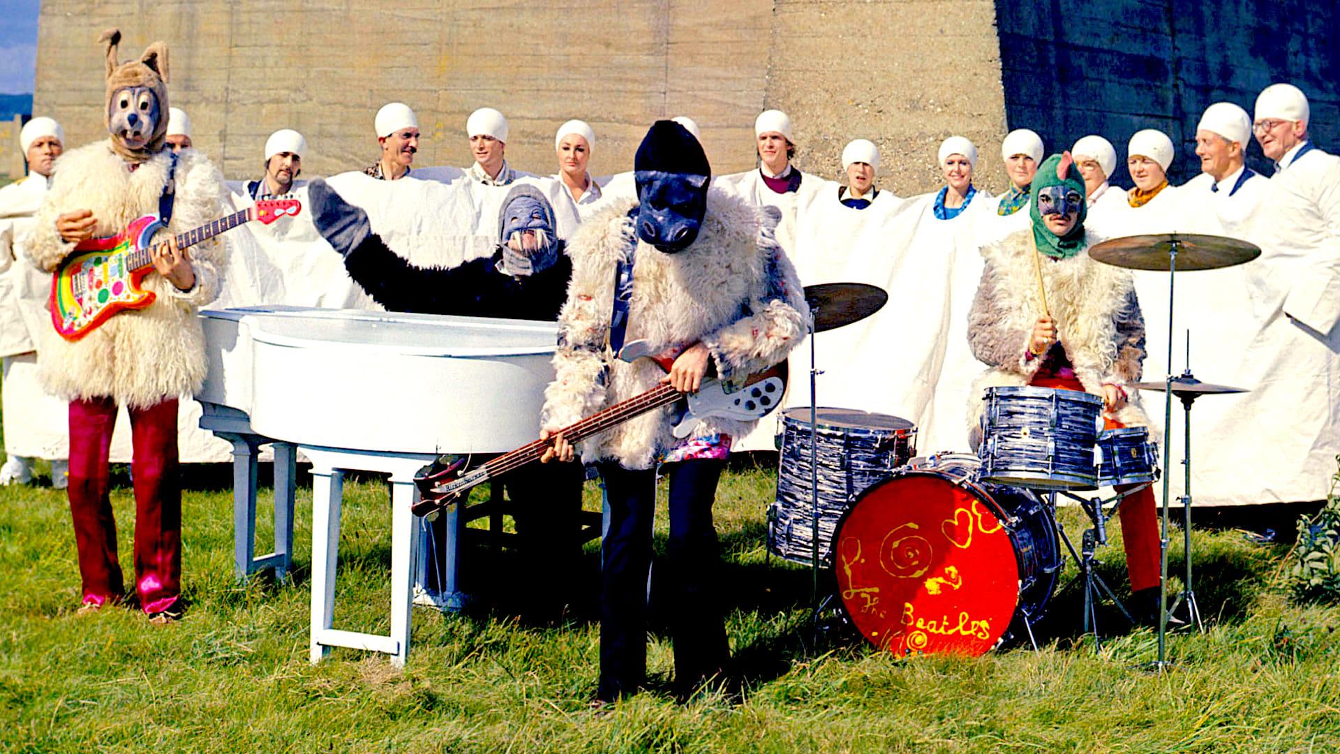 Backdrop for Magical Mystery Tour Revisited