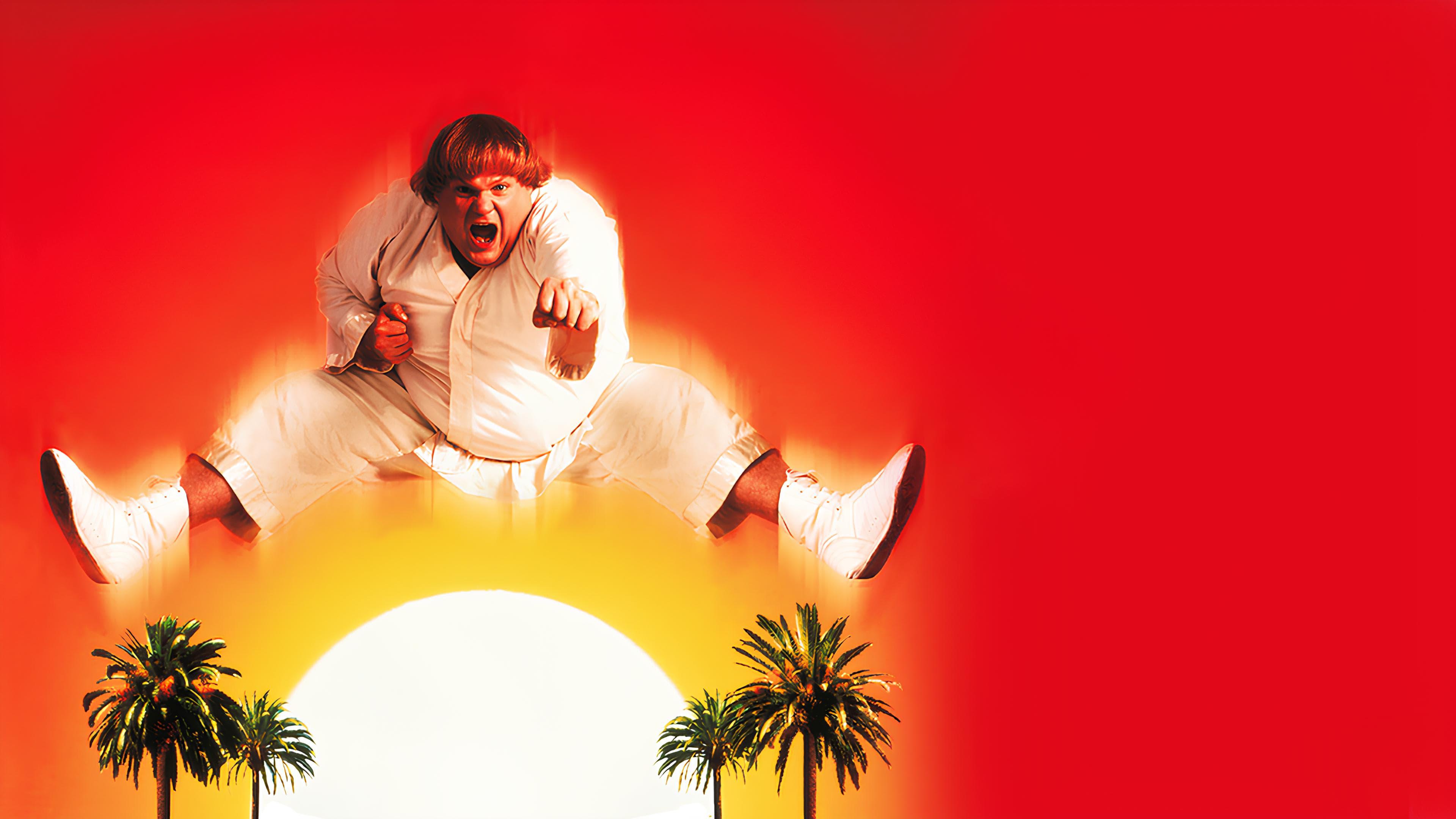 Backdrop for Beverly Hills Ninja