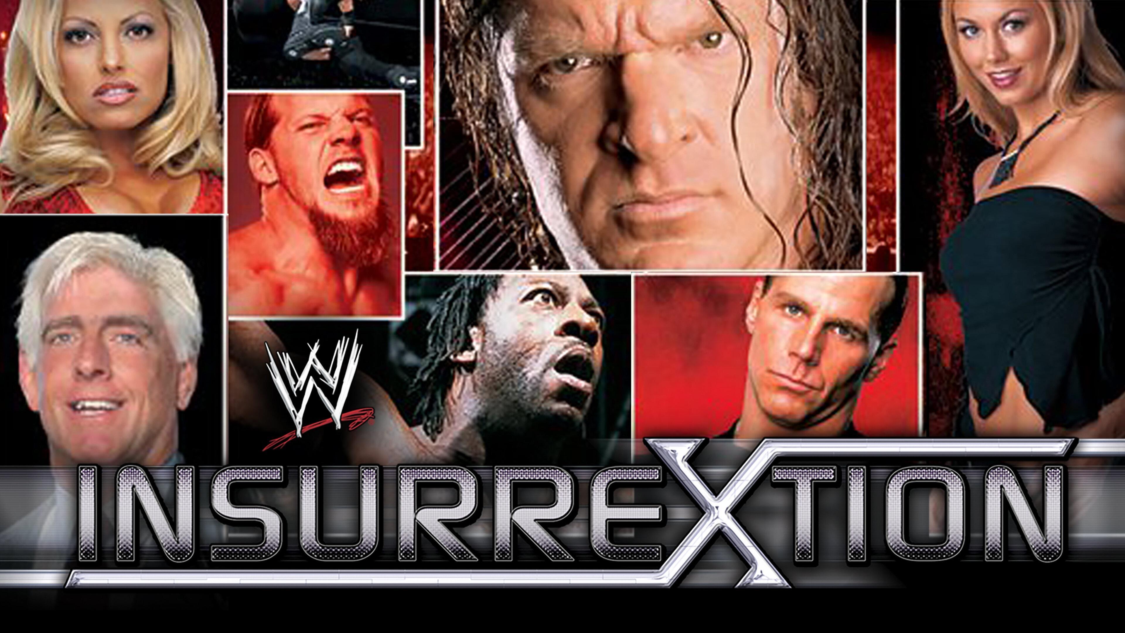 Backdrop for WWE Insurrextion 2003