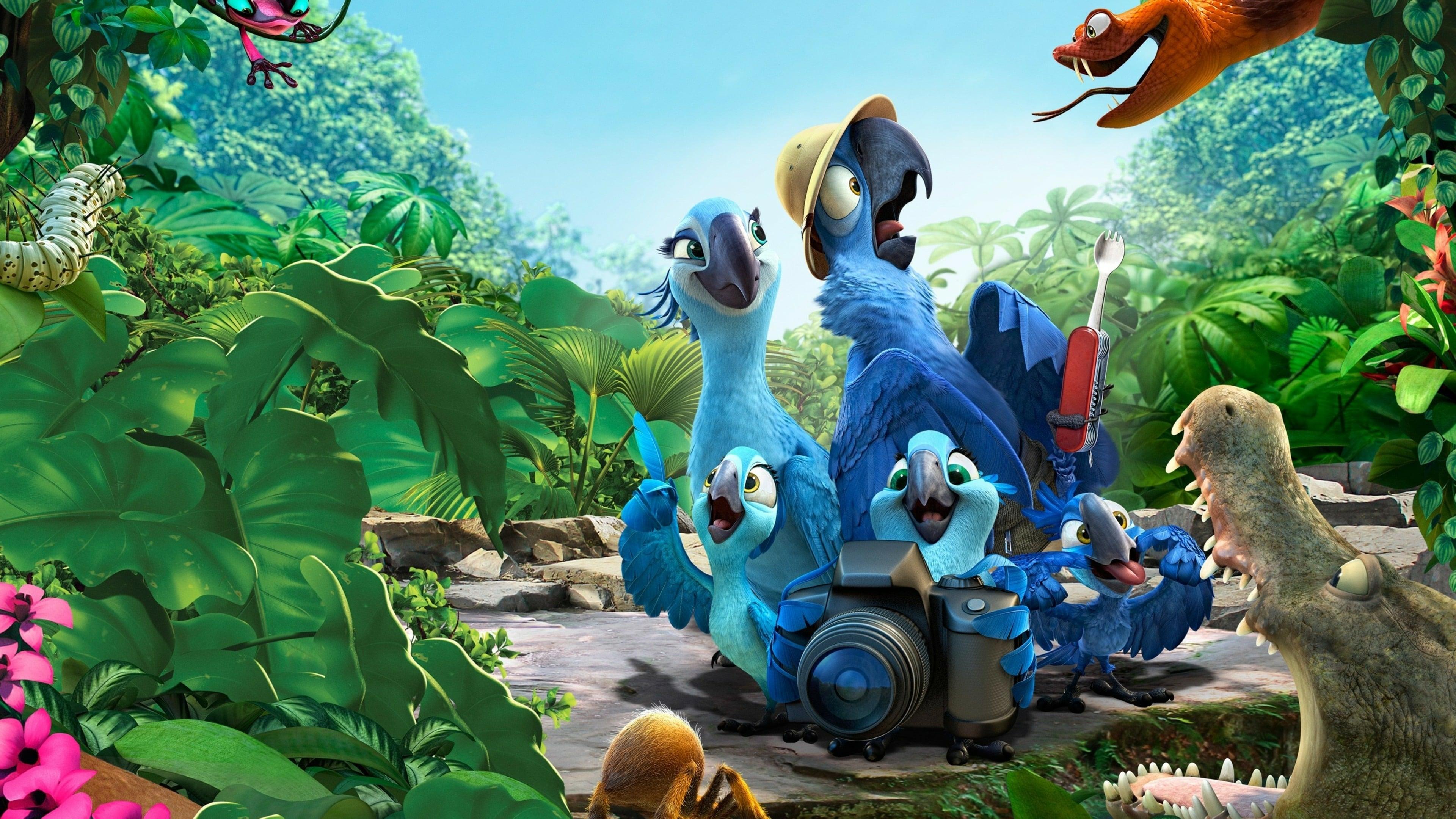 Backdrop for Rio 2