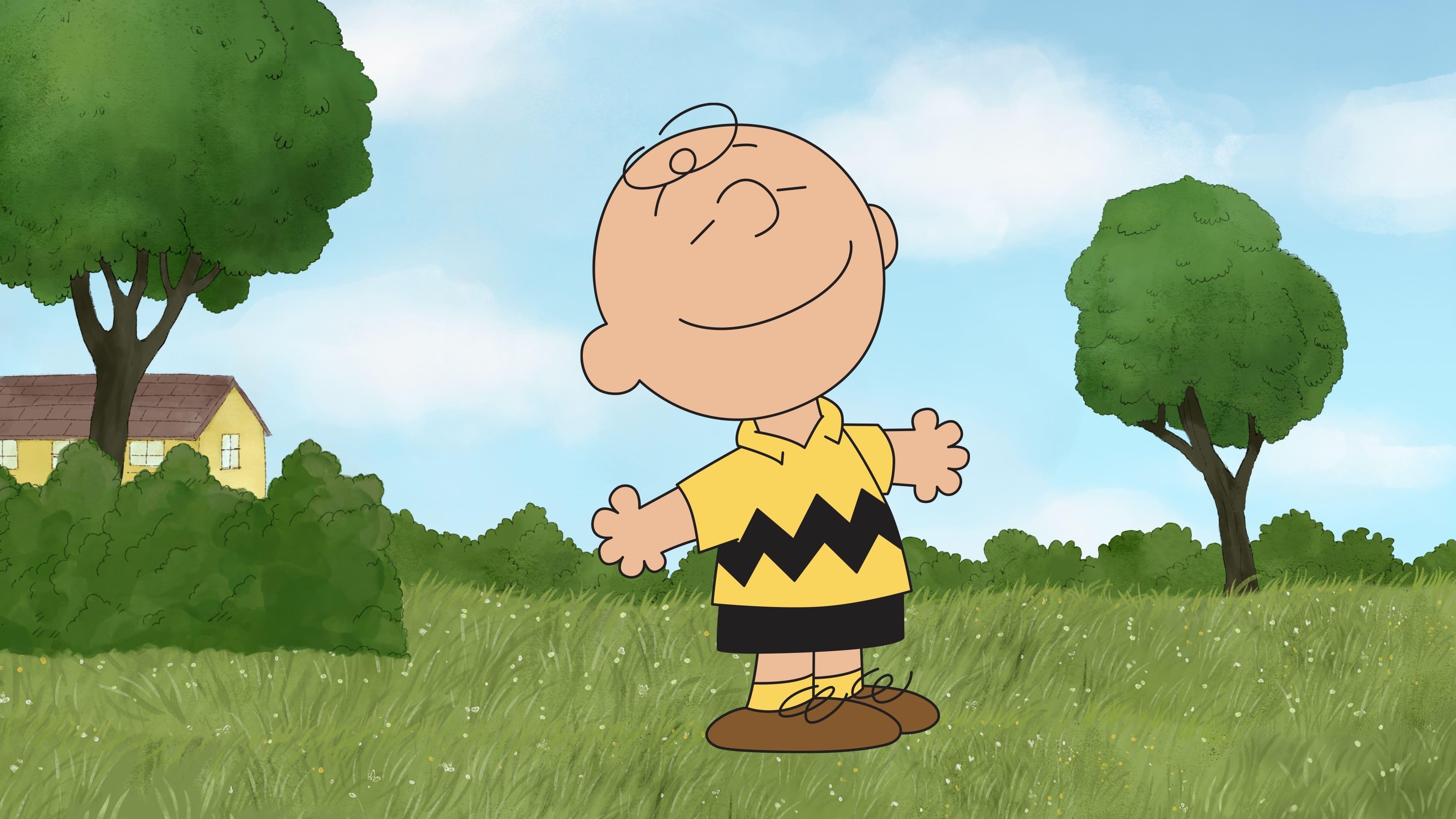 Backdrop for You're a Good Man, Charlie Brown